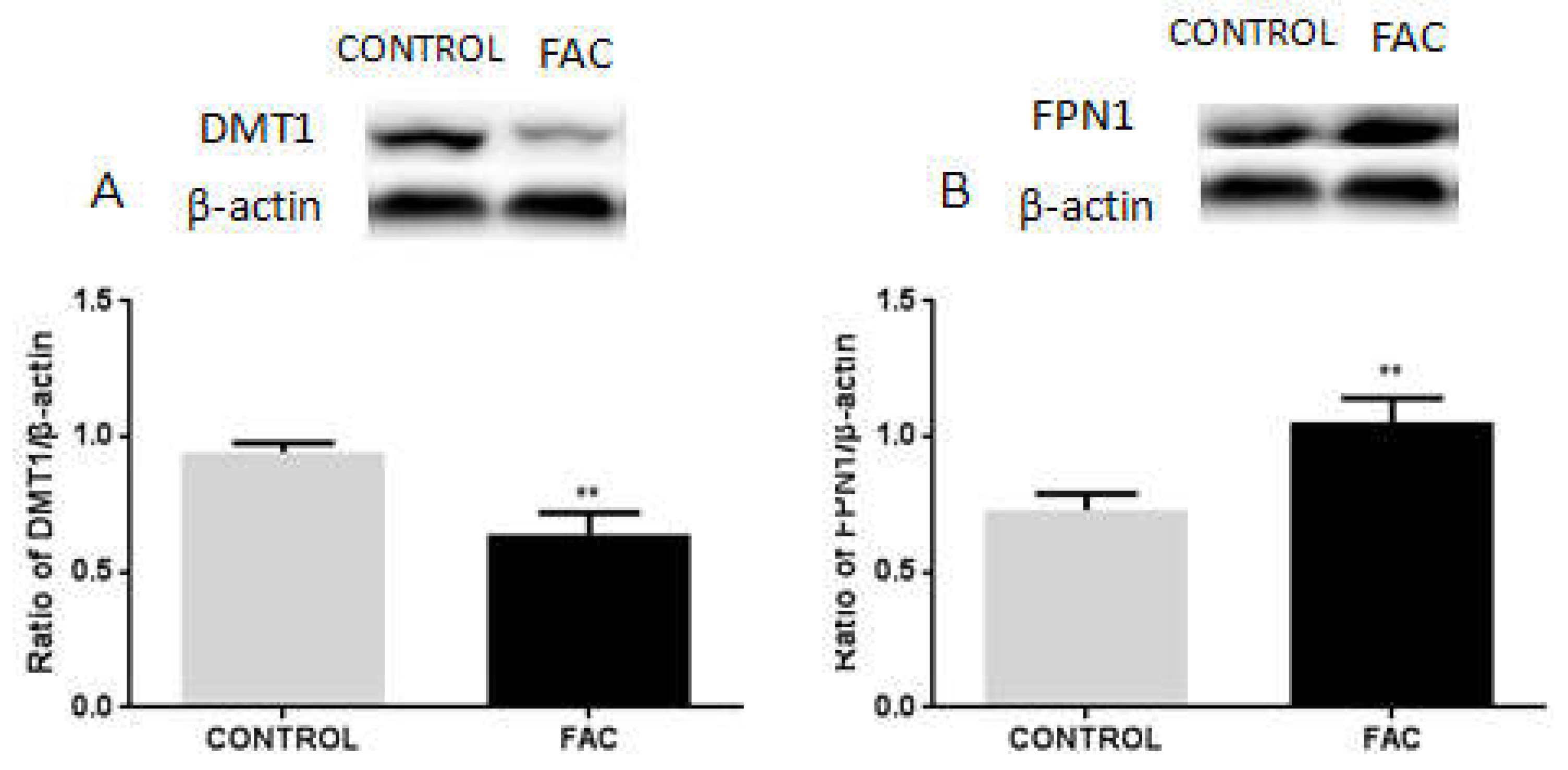 Biomolecules 12 00266 g006 550