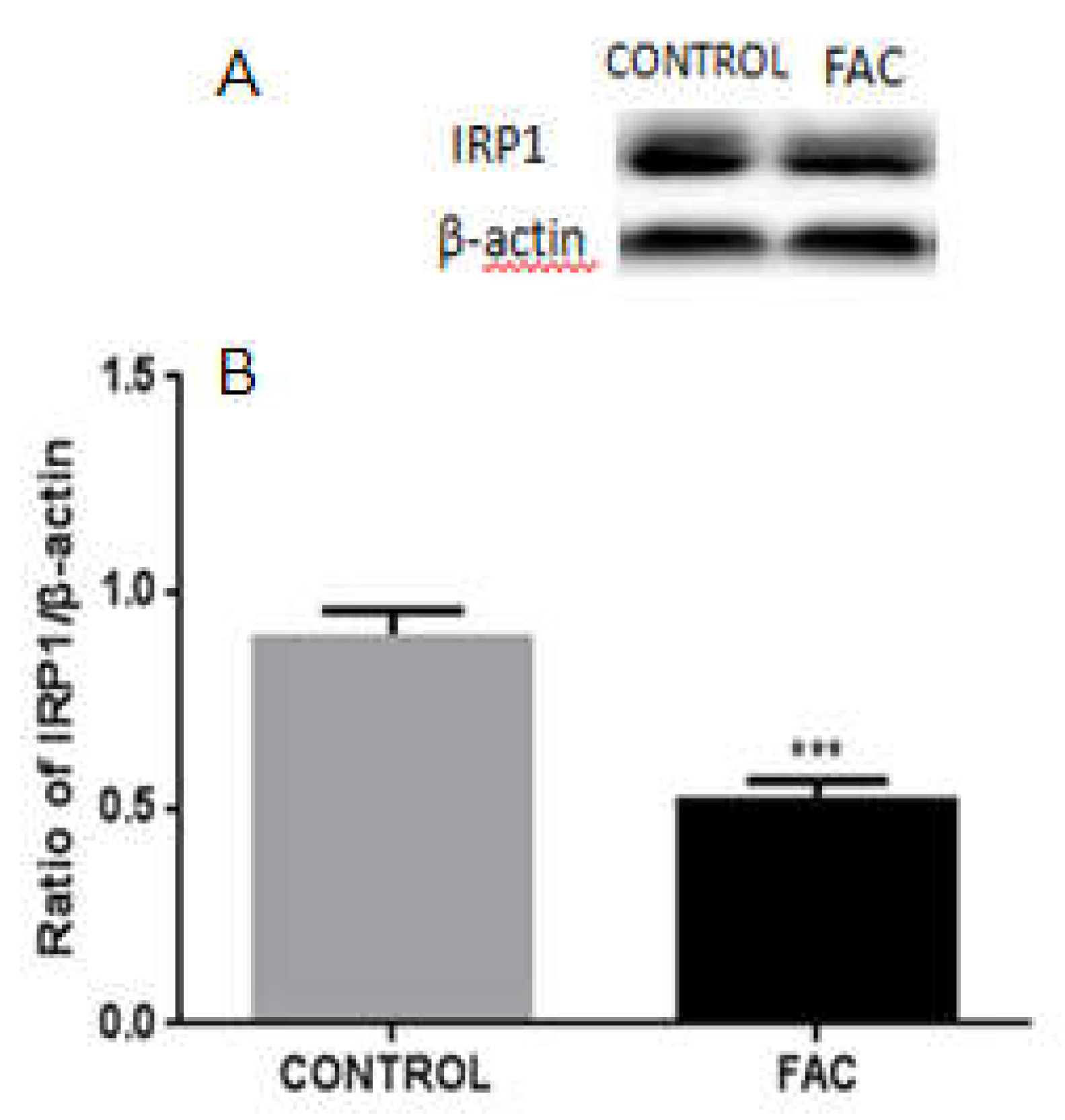 Biomolecules 12 00266 g007 550