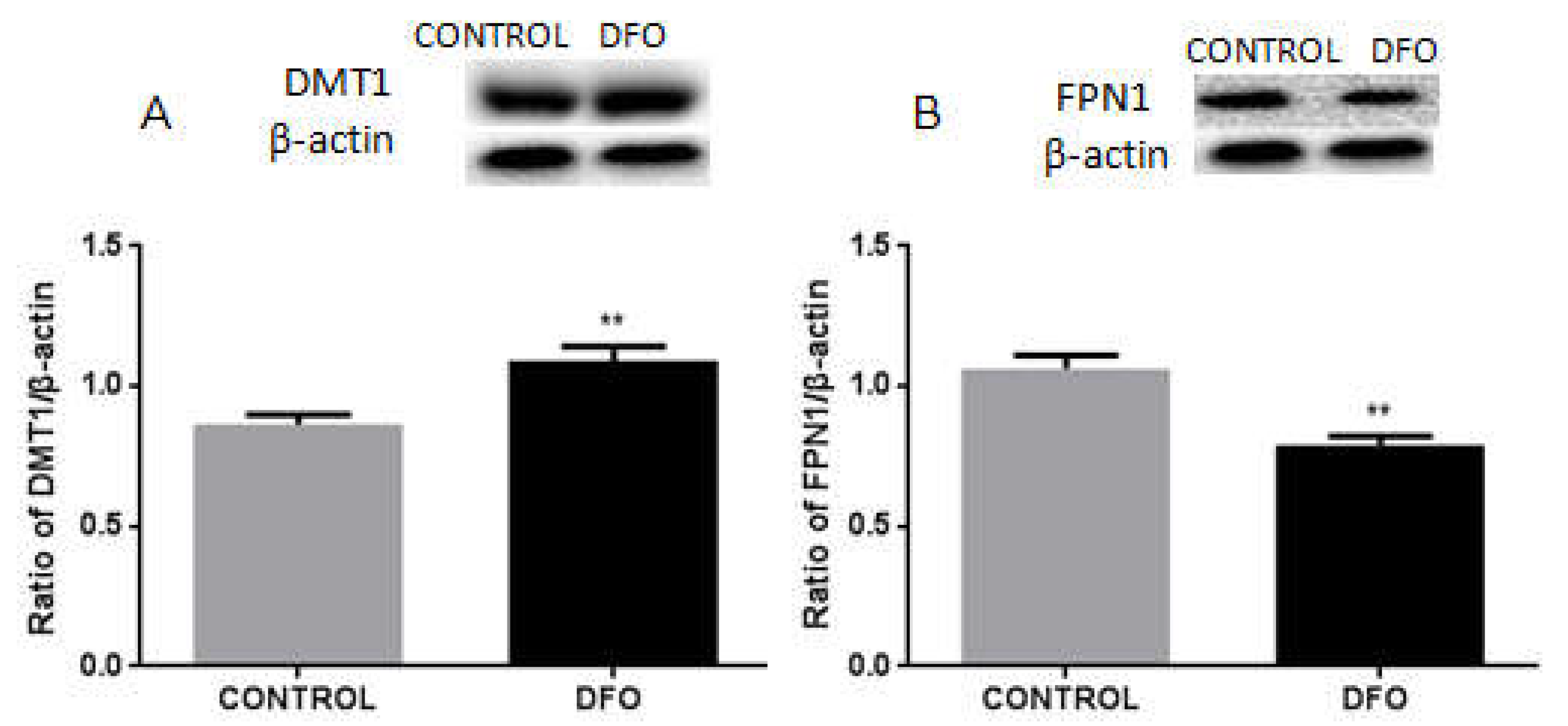 Biomolecules 12 00266 g008 550