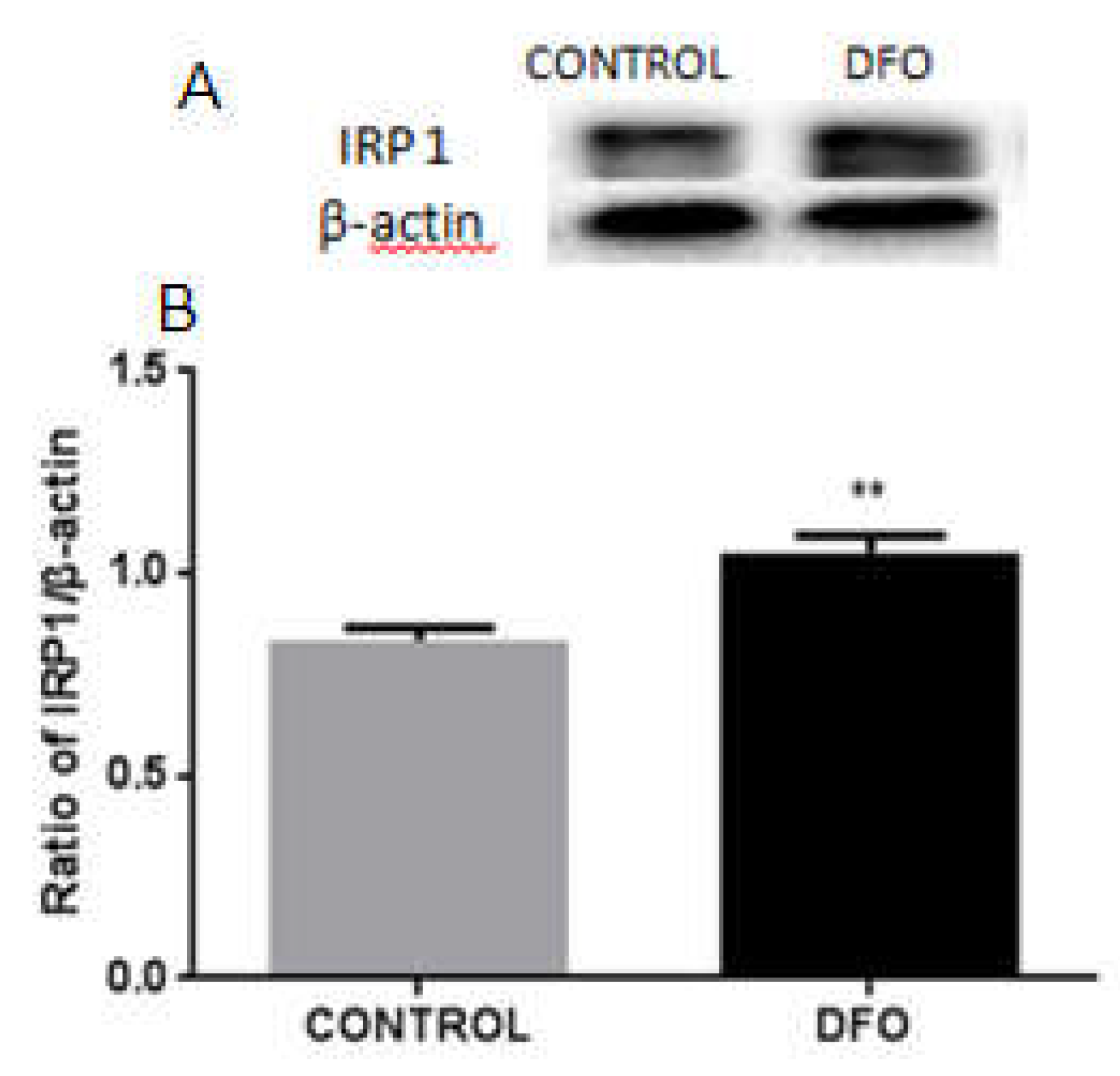 Biomolecules 12 00266 g009 550