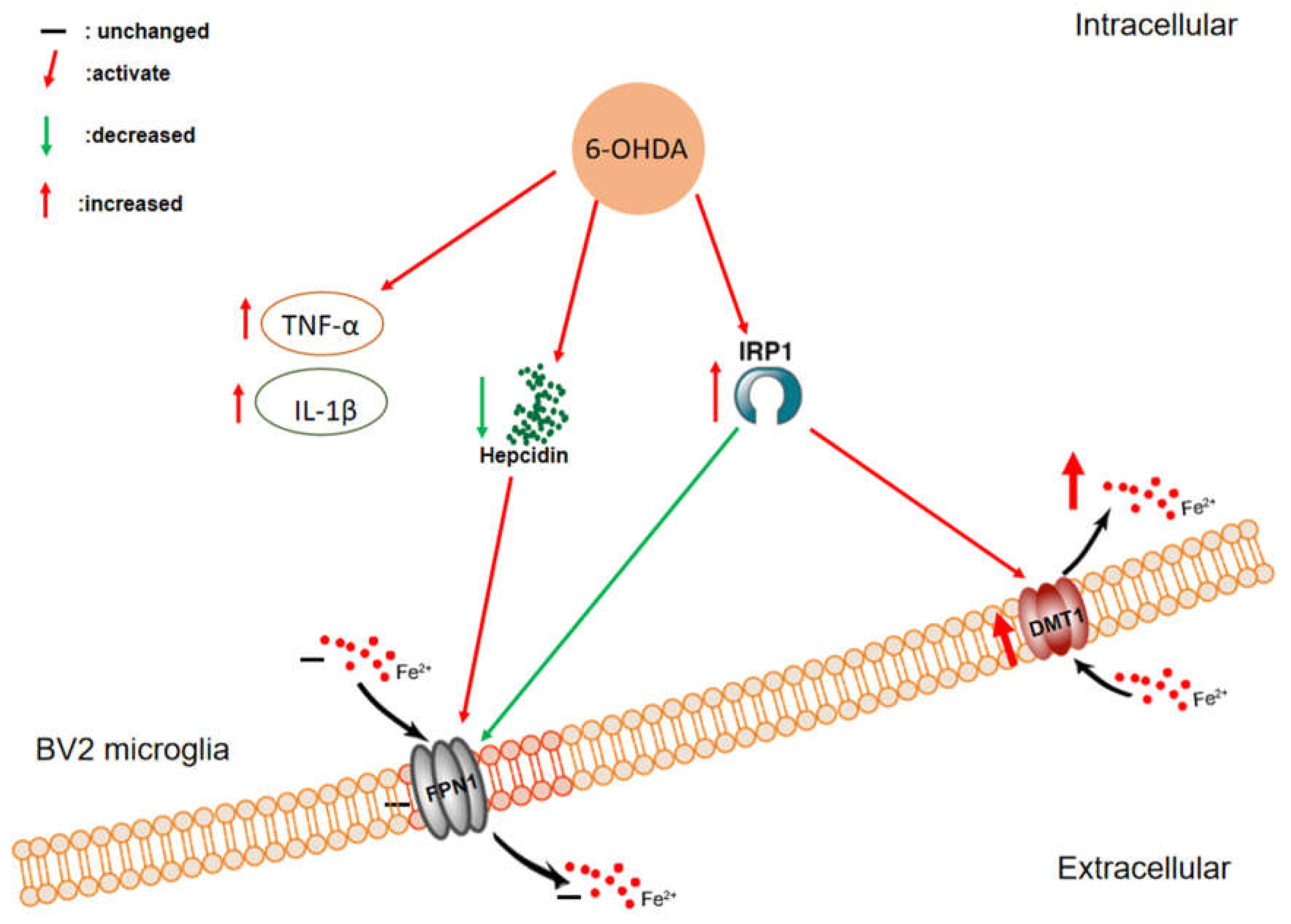 Biomolecules 12 00266 g010 550
