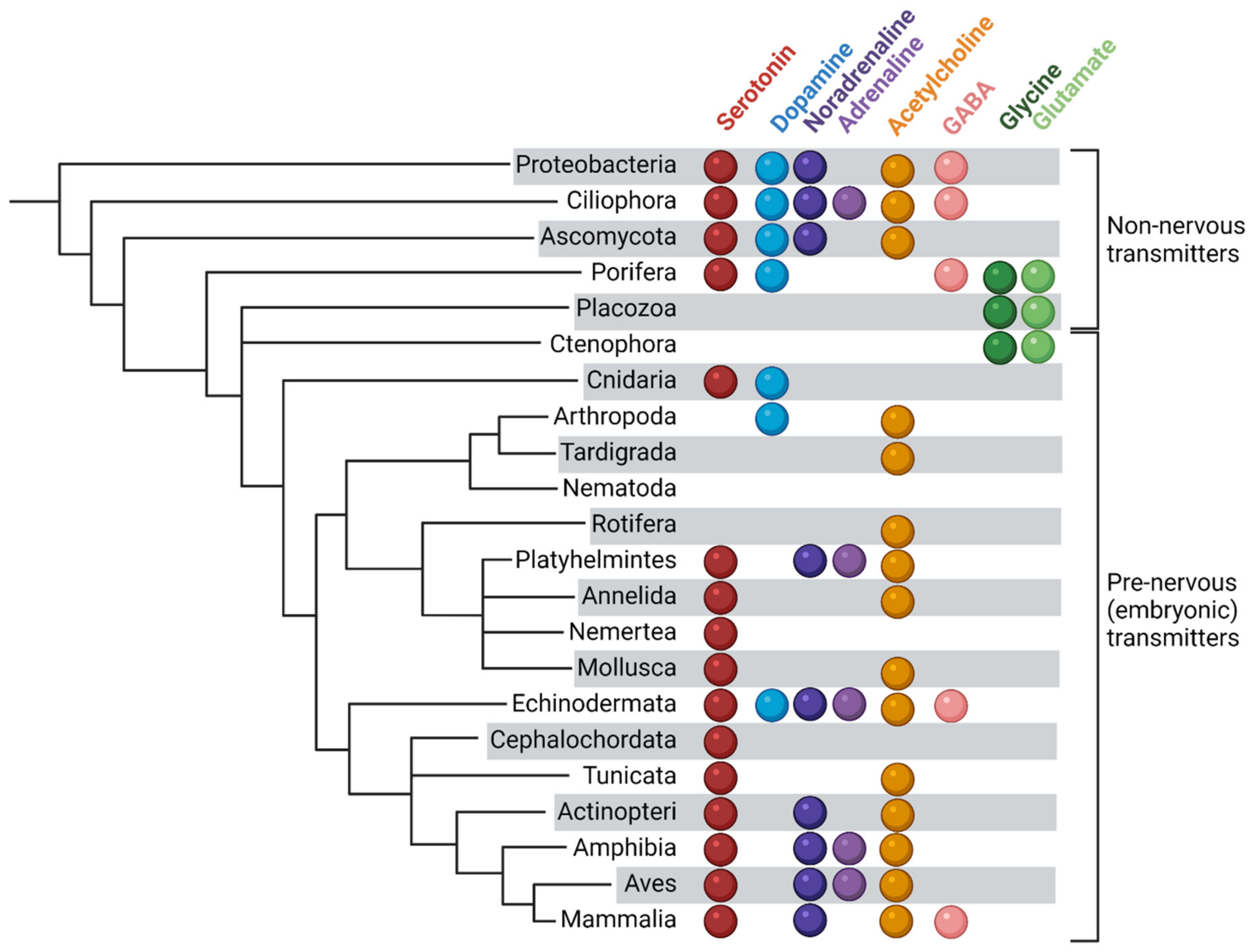 Biomolecules 12 00271 g001 Biomolecules 12 00271 g001