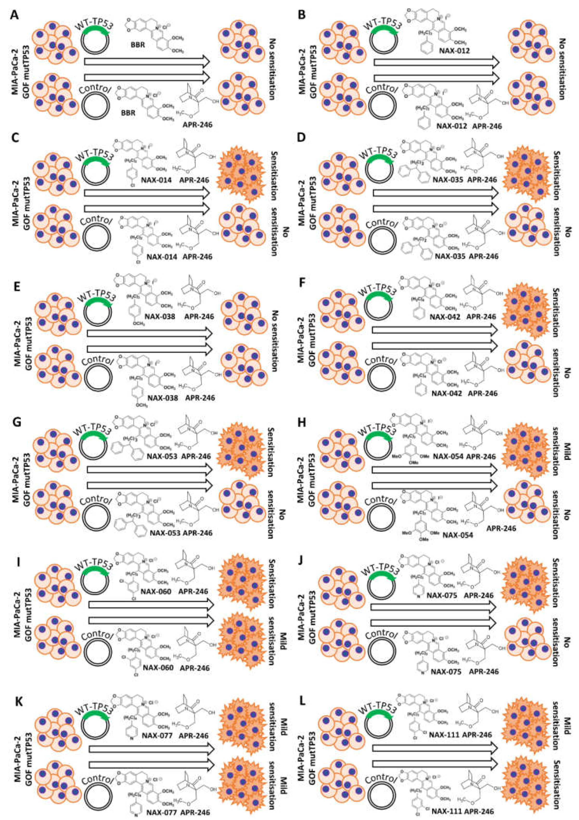 Biomolecules 12 00276 g010