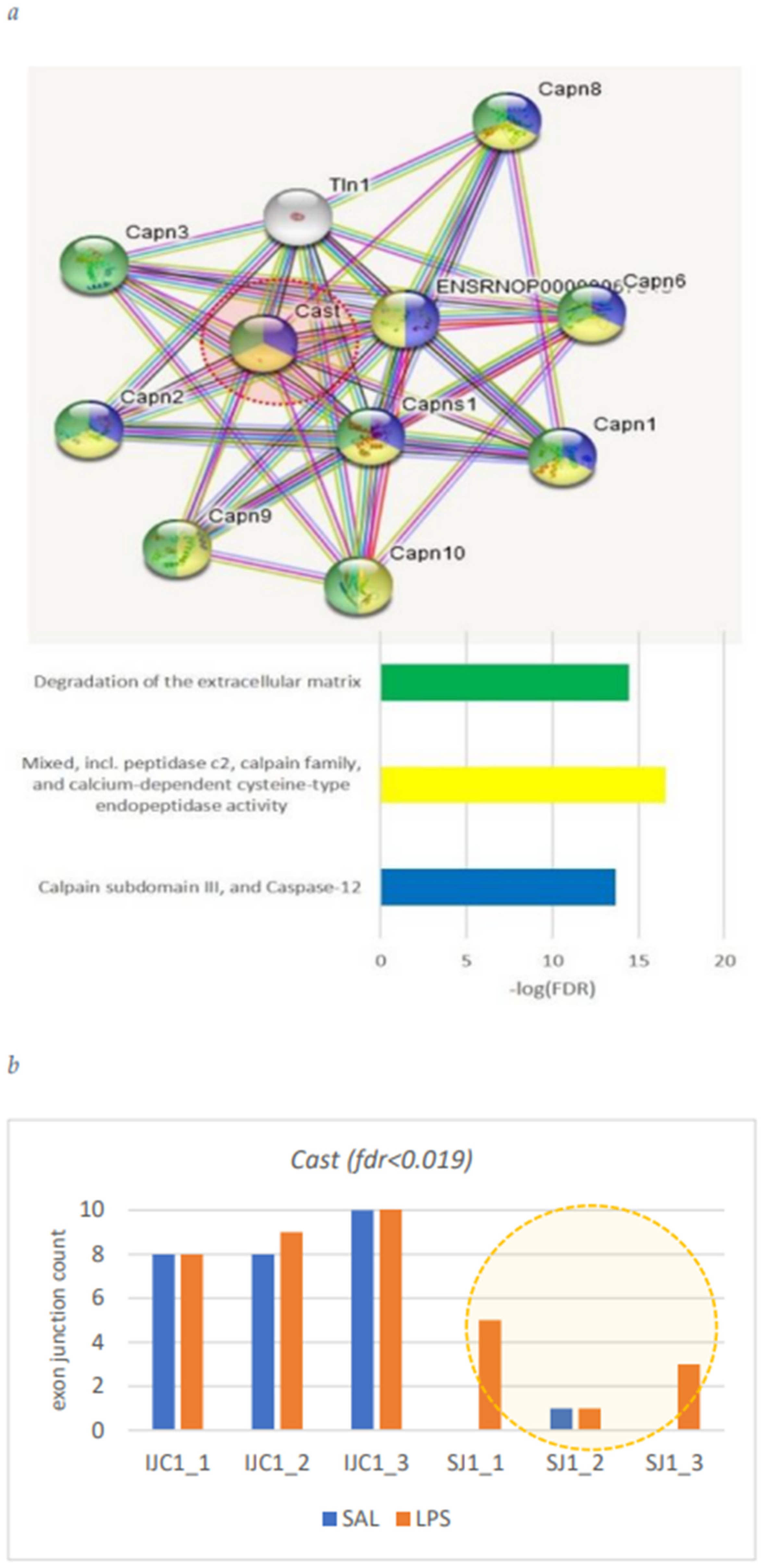 Biomolecules 12 00277 g009 550