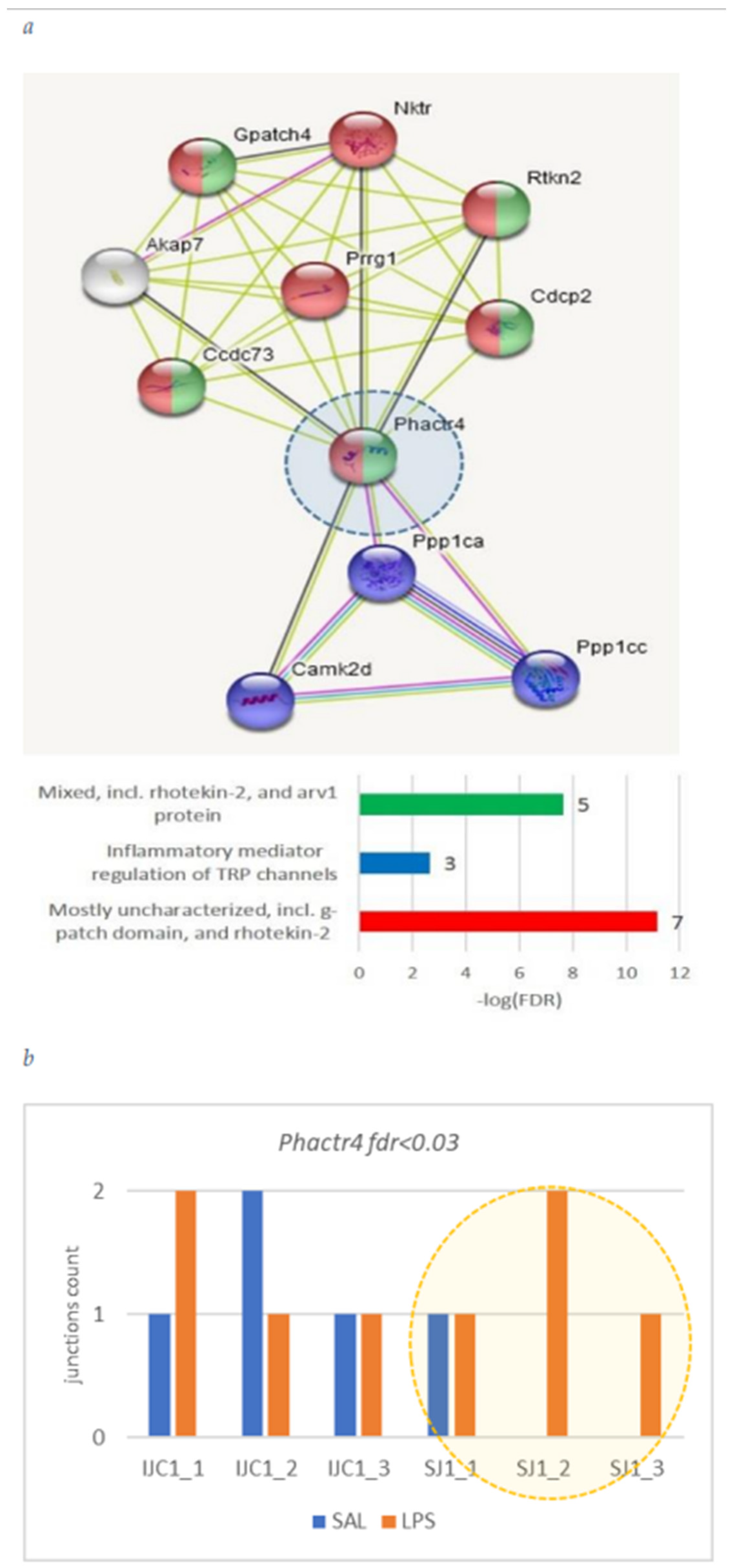 Biomolecules 12 00277 g010 550