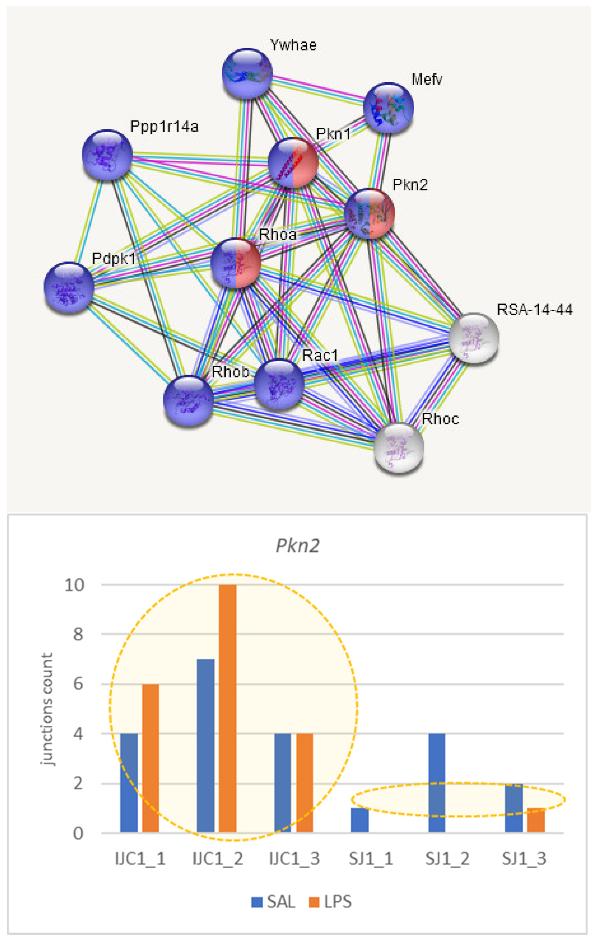 Biomolecules 12 00277 g011 550