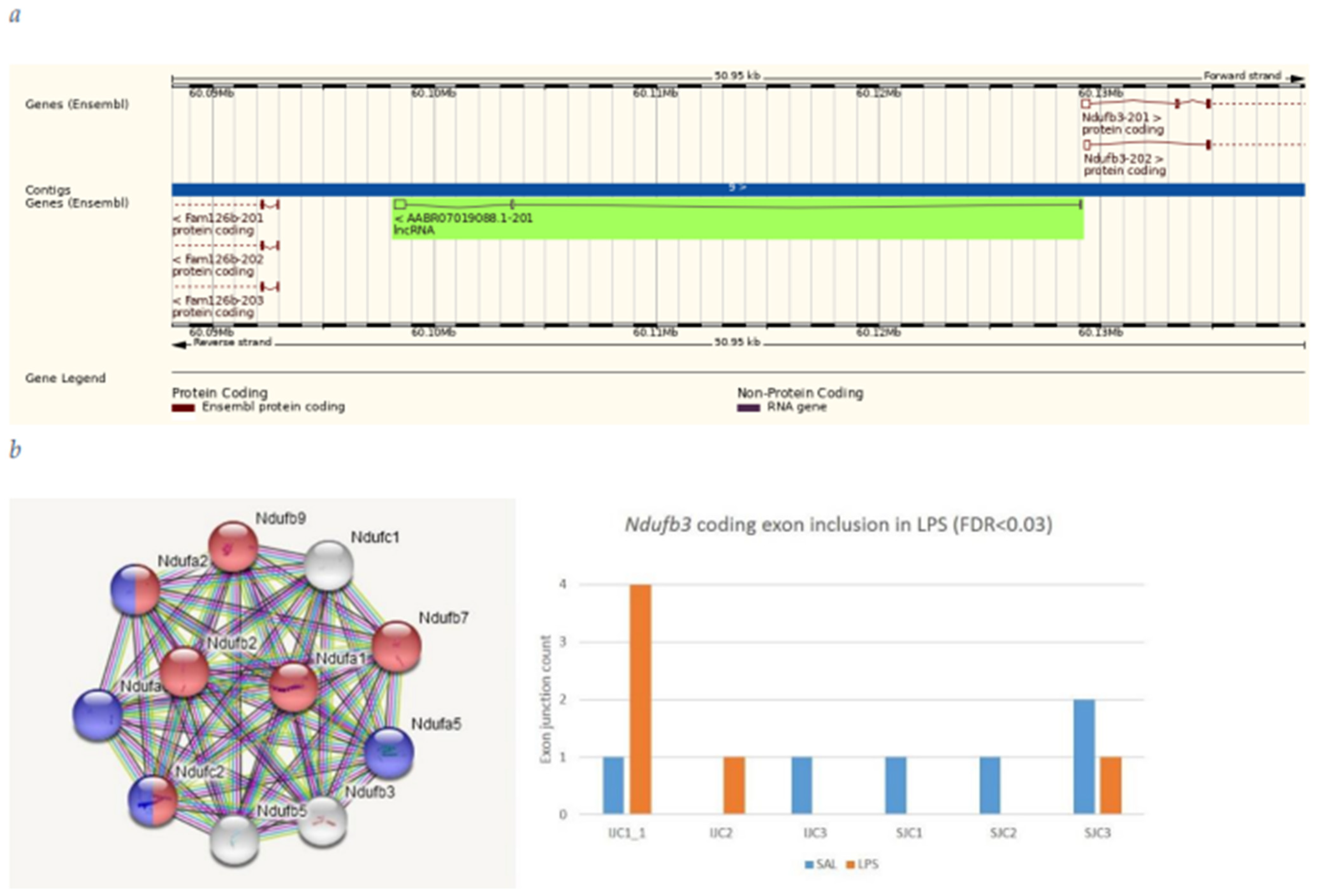 Biomolecules 12 00277 g012 550