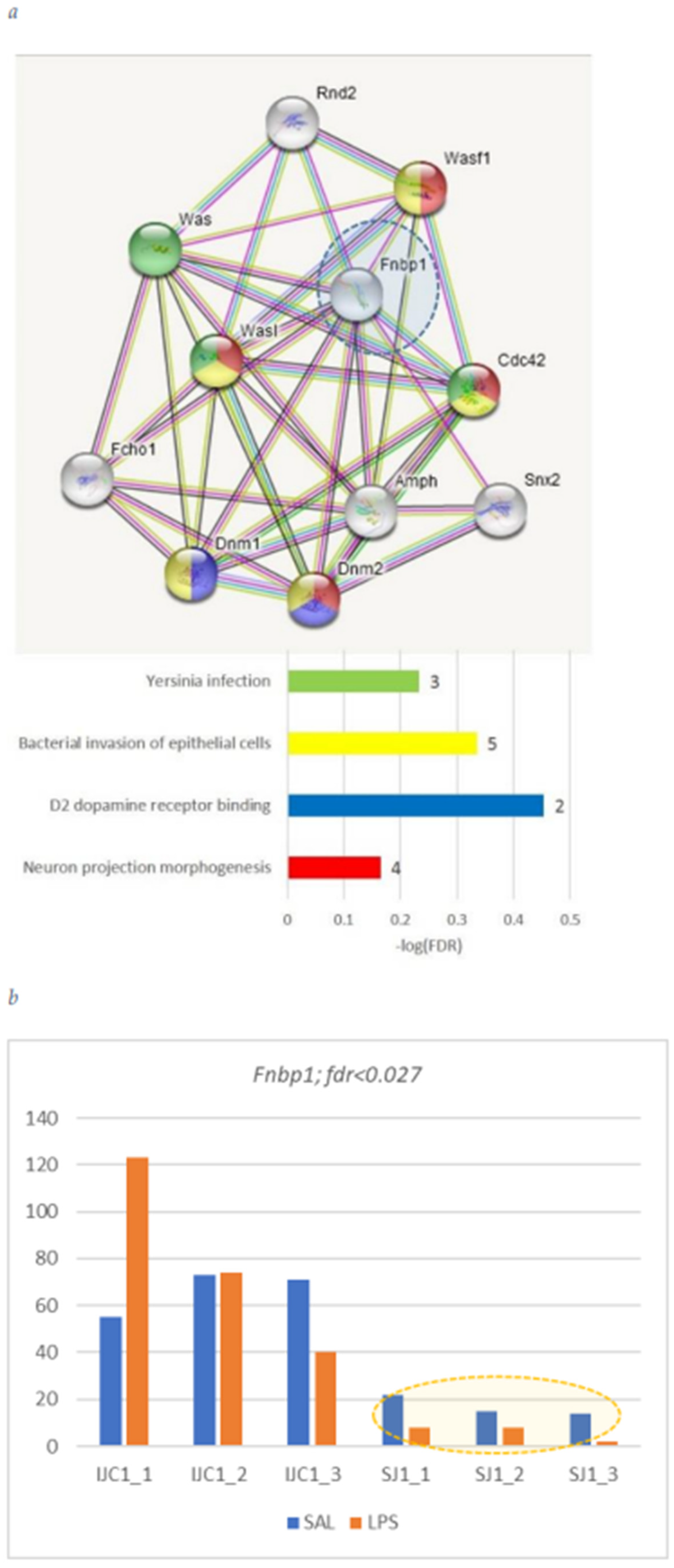 Biomolecules 12 00277 g016 550