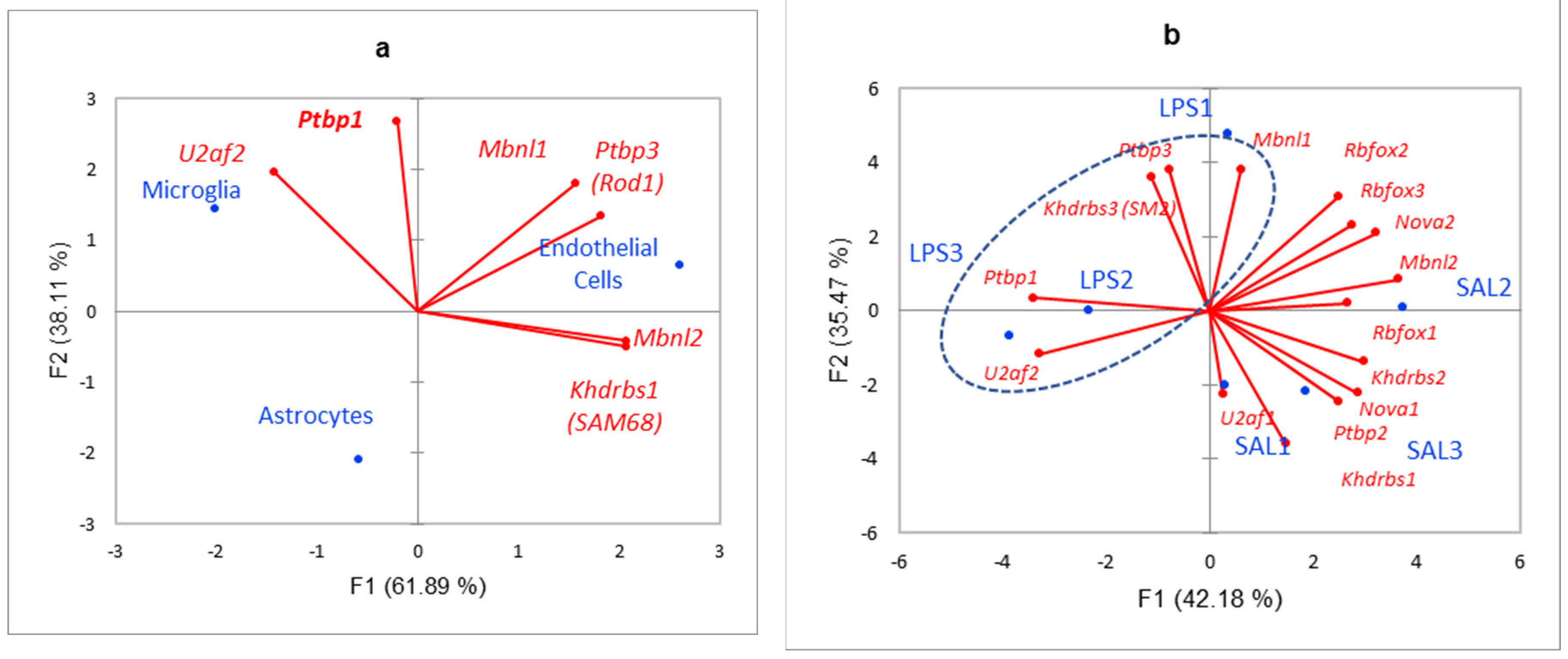 Biomolecules 12 00277 g018 550