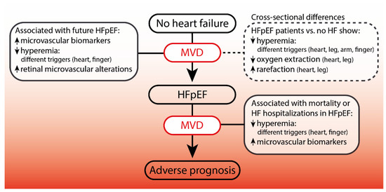 The Role of Systemic Microvascular Dysfunction in Heart Failure with ...
