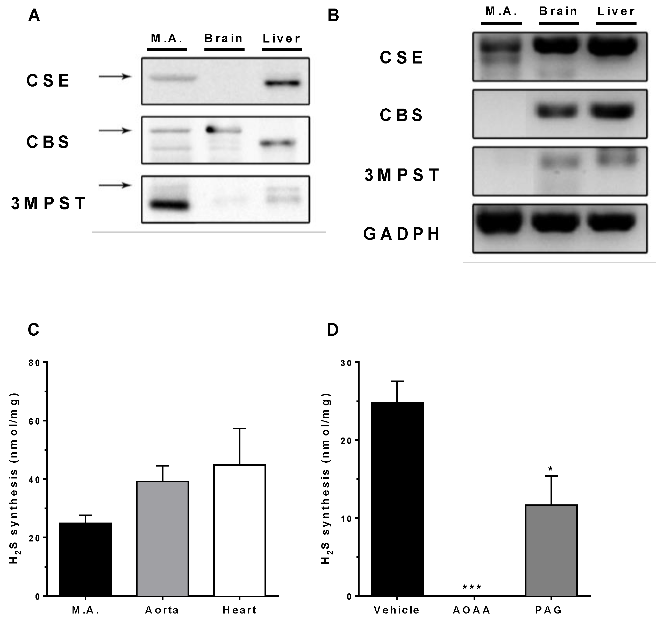 Biomolecules 12 00280 g001