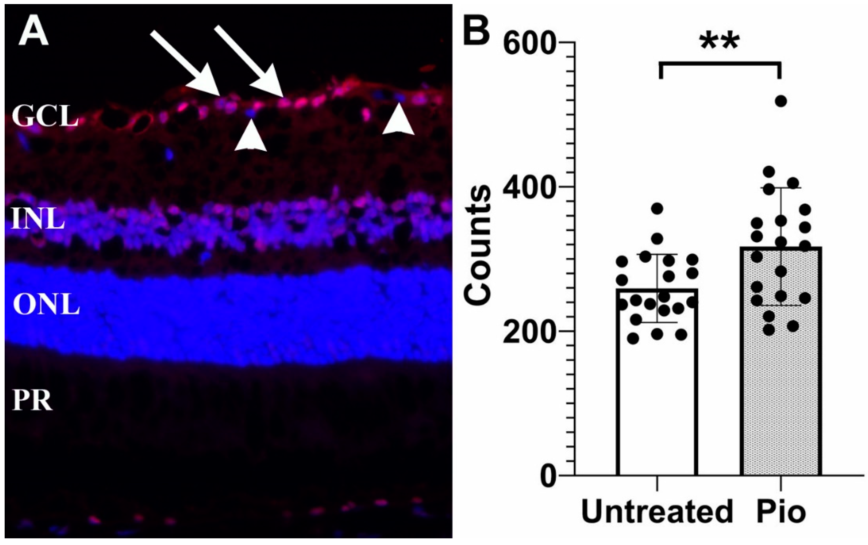 Biomolecules 12 00281 g001