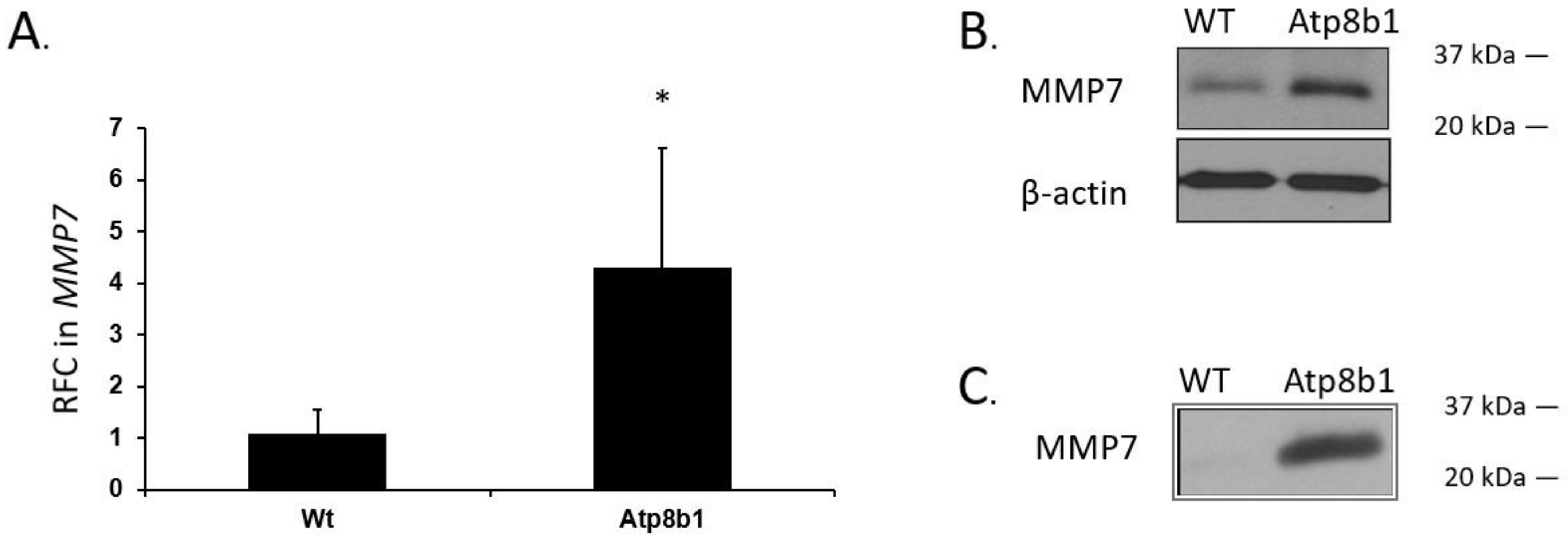 Biomolecules 12 00283 g003 550