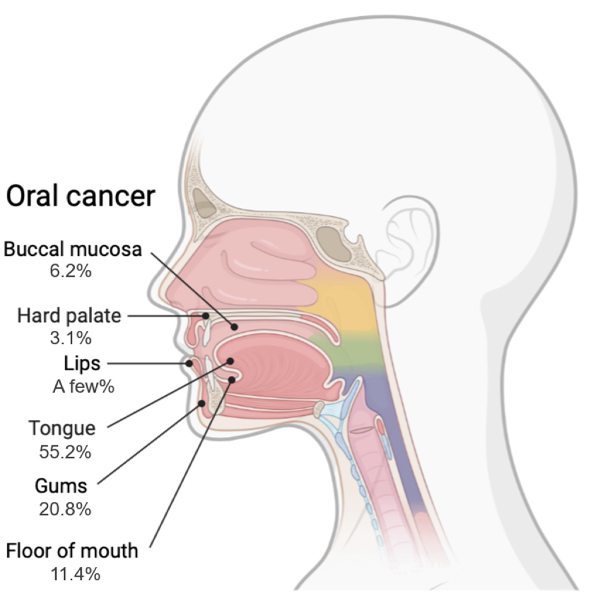 Biomolecules 12 00284 g001