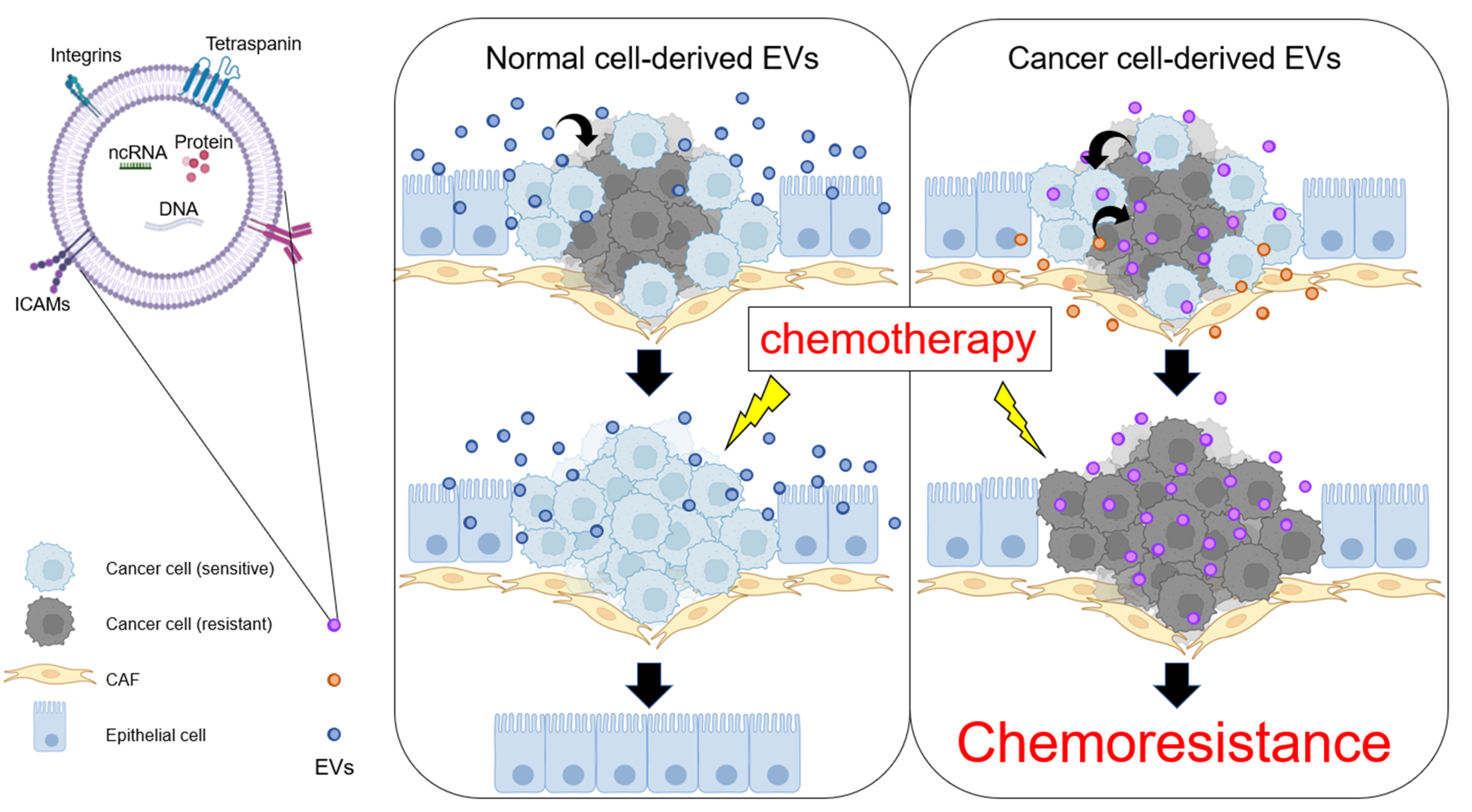 Biomolecules 12 00284 g002