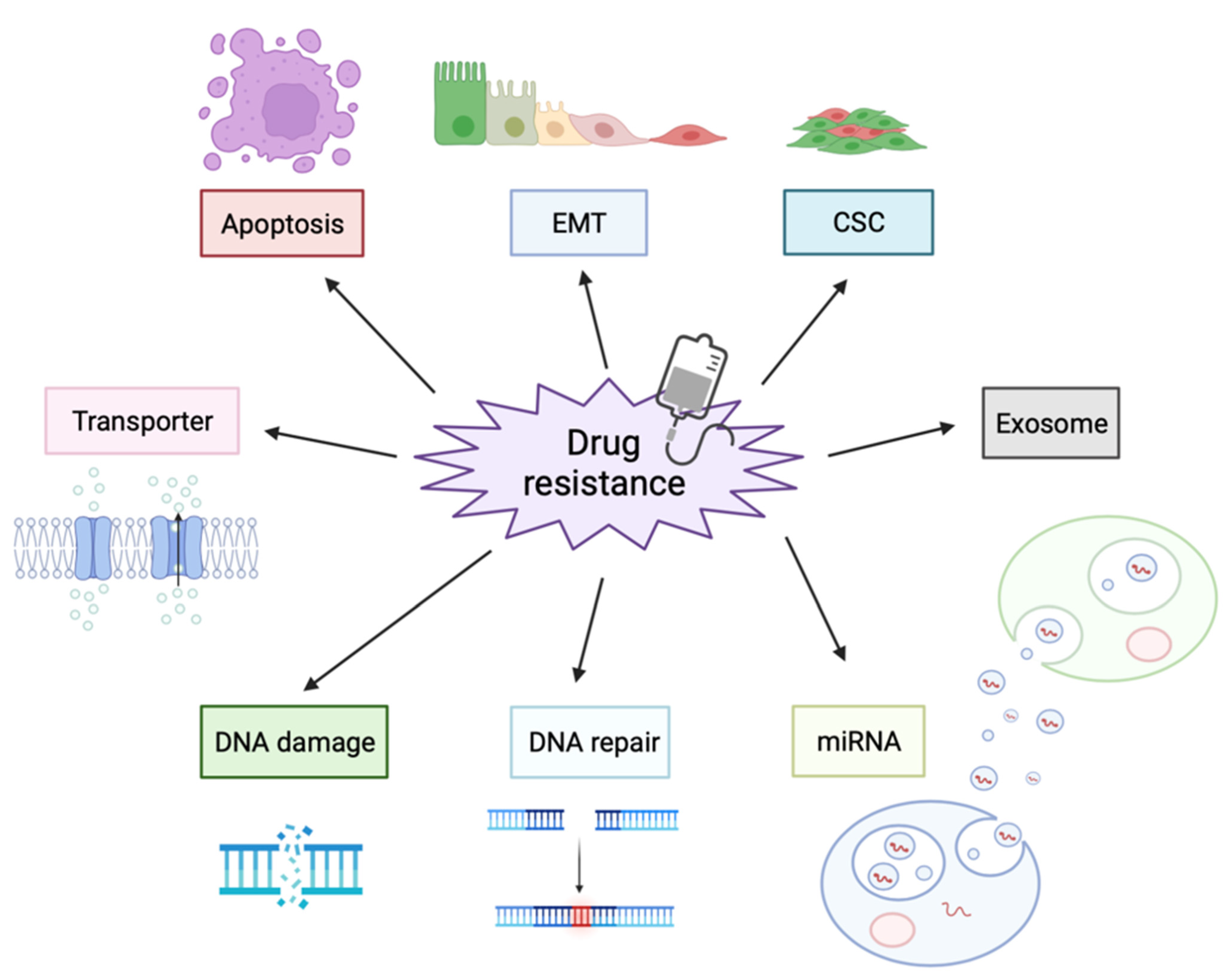 Biomolecules 12 00284 g003