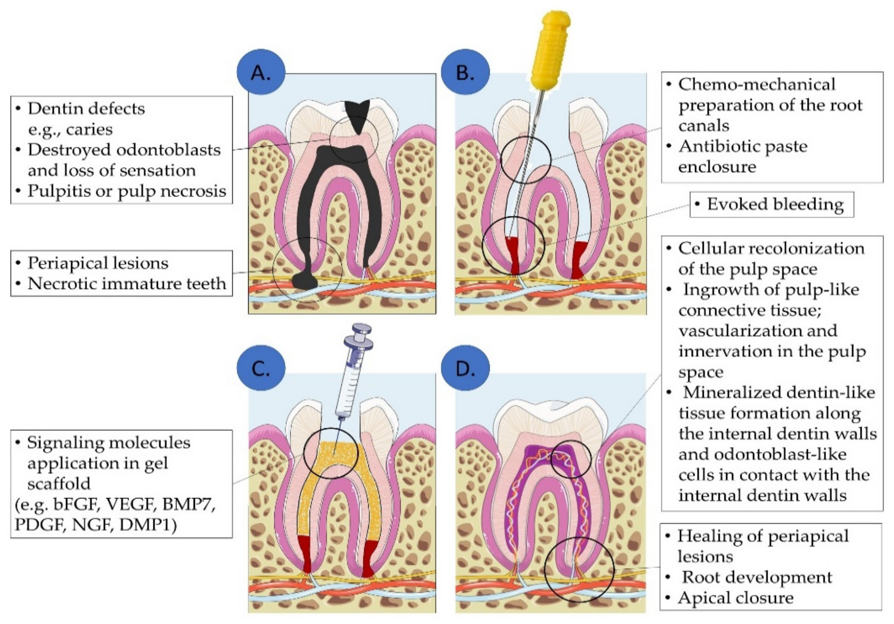 Biomolecules 12 00285 g003 550