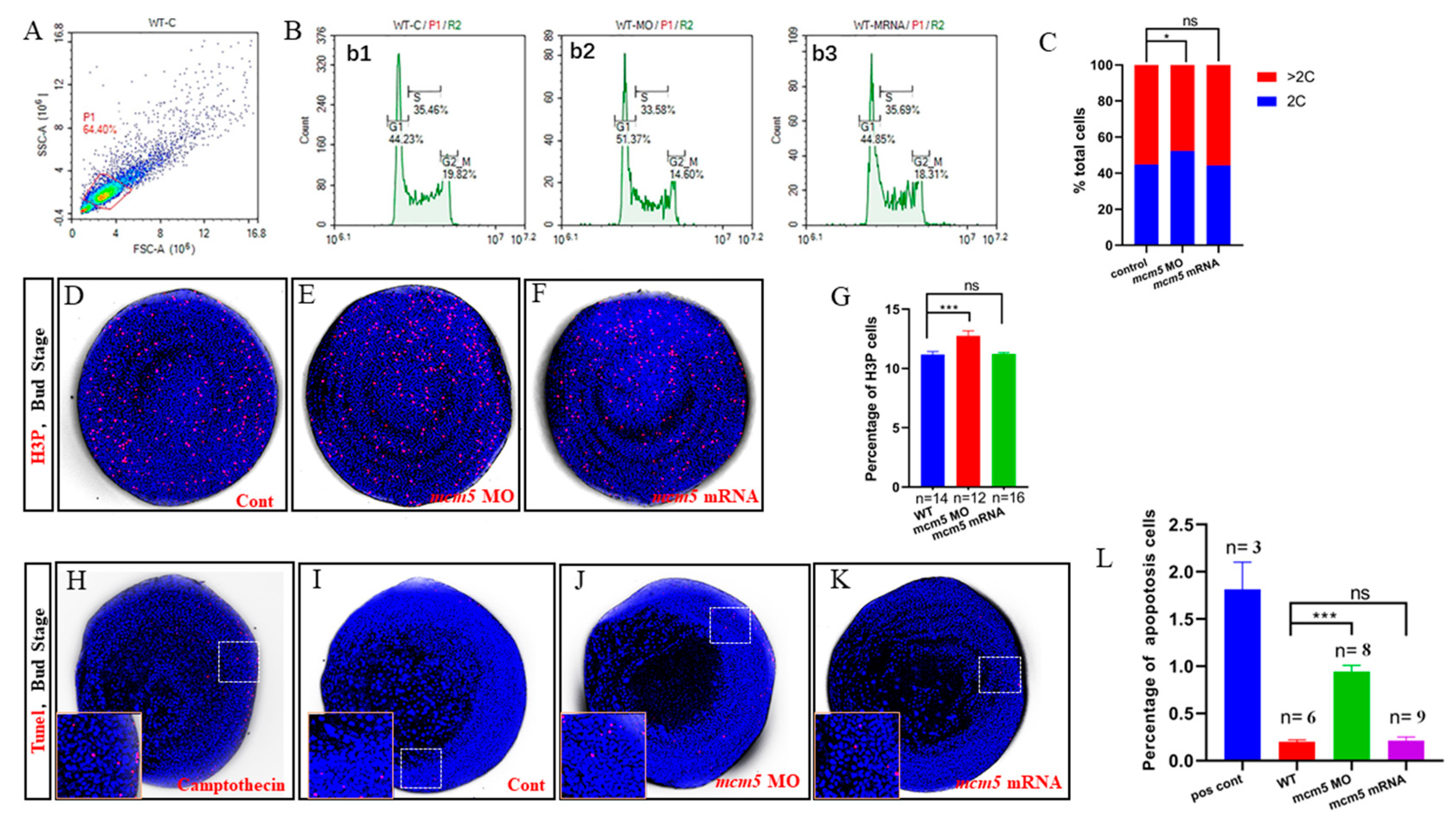 Biomolecules 12 00286 g003
