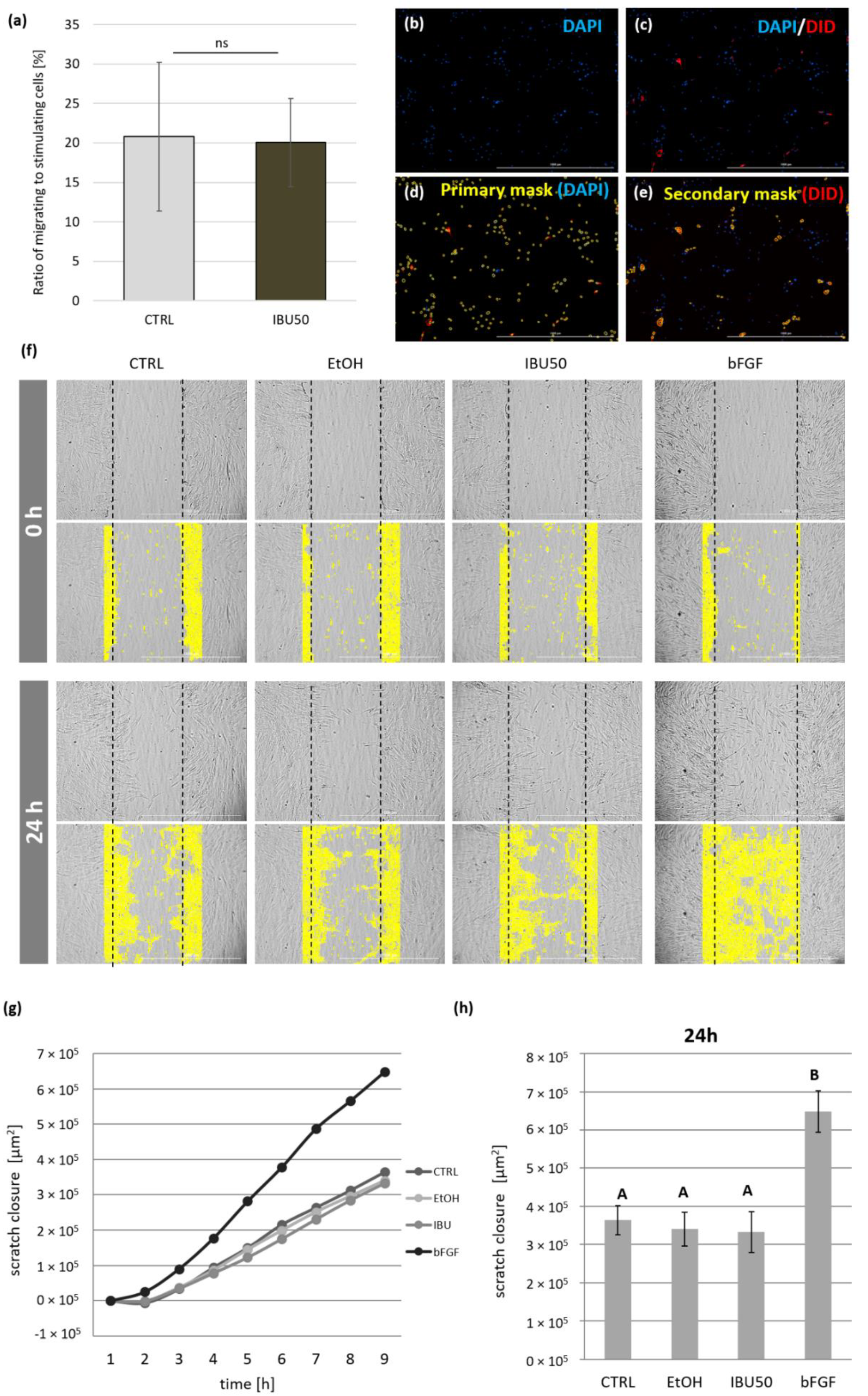 Biomolecules 12 00287 g004 Biomolecules 12 00287 g004