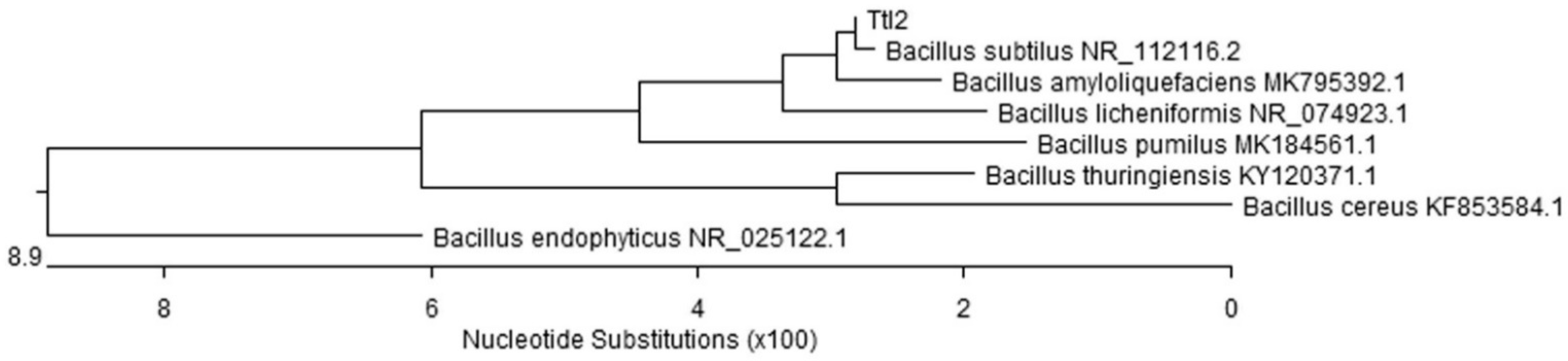 Biomolecules 12 00288 g001 Biomolecules 12 00288 g001