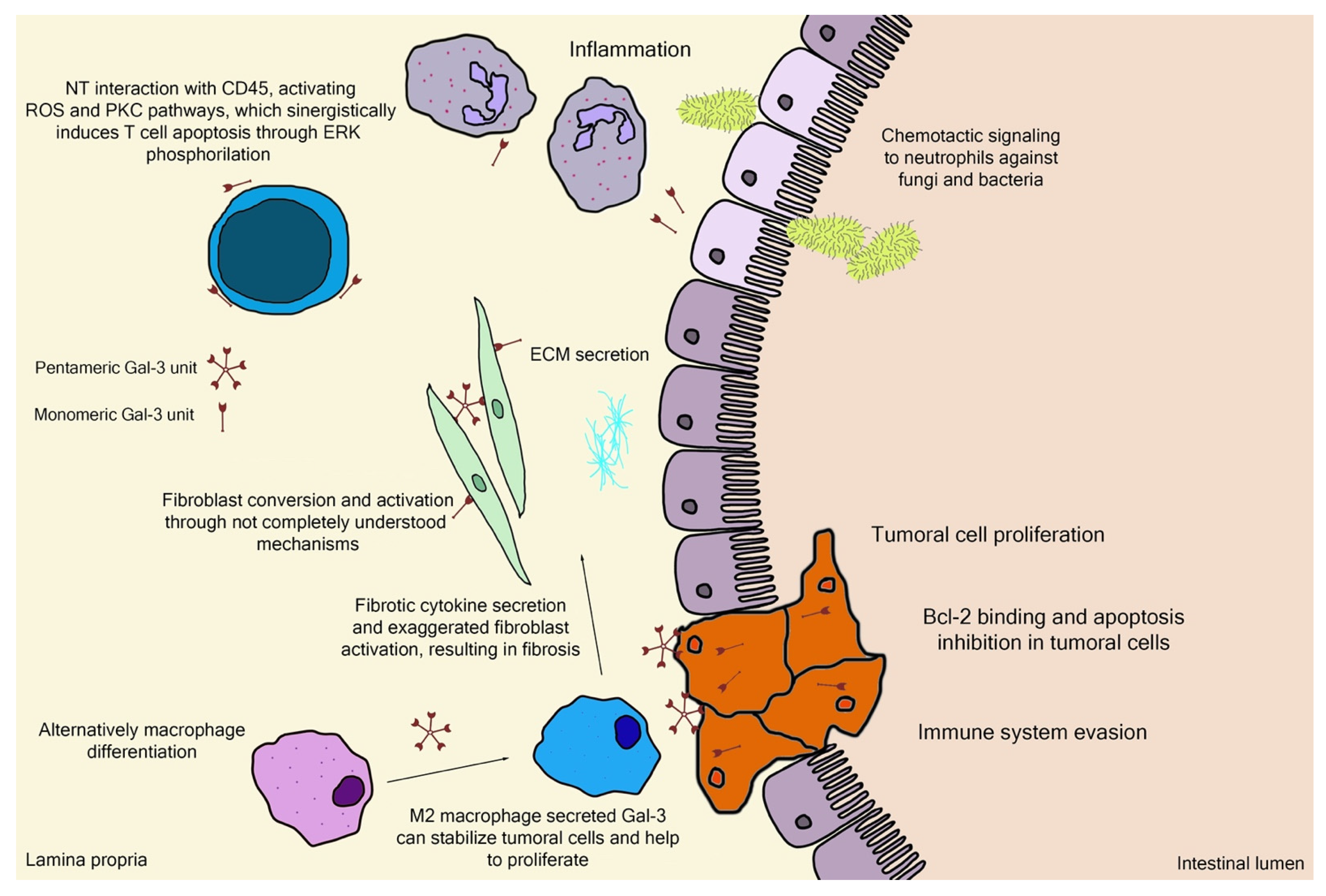 Biomolecules 12 00289 g003 Biomolecules 12 00289 g003