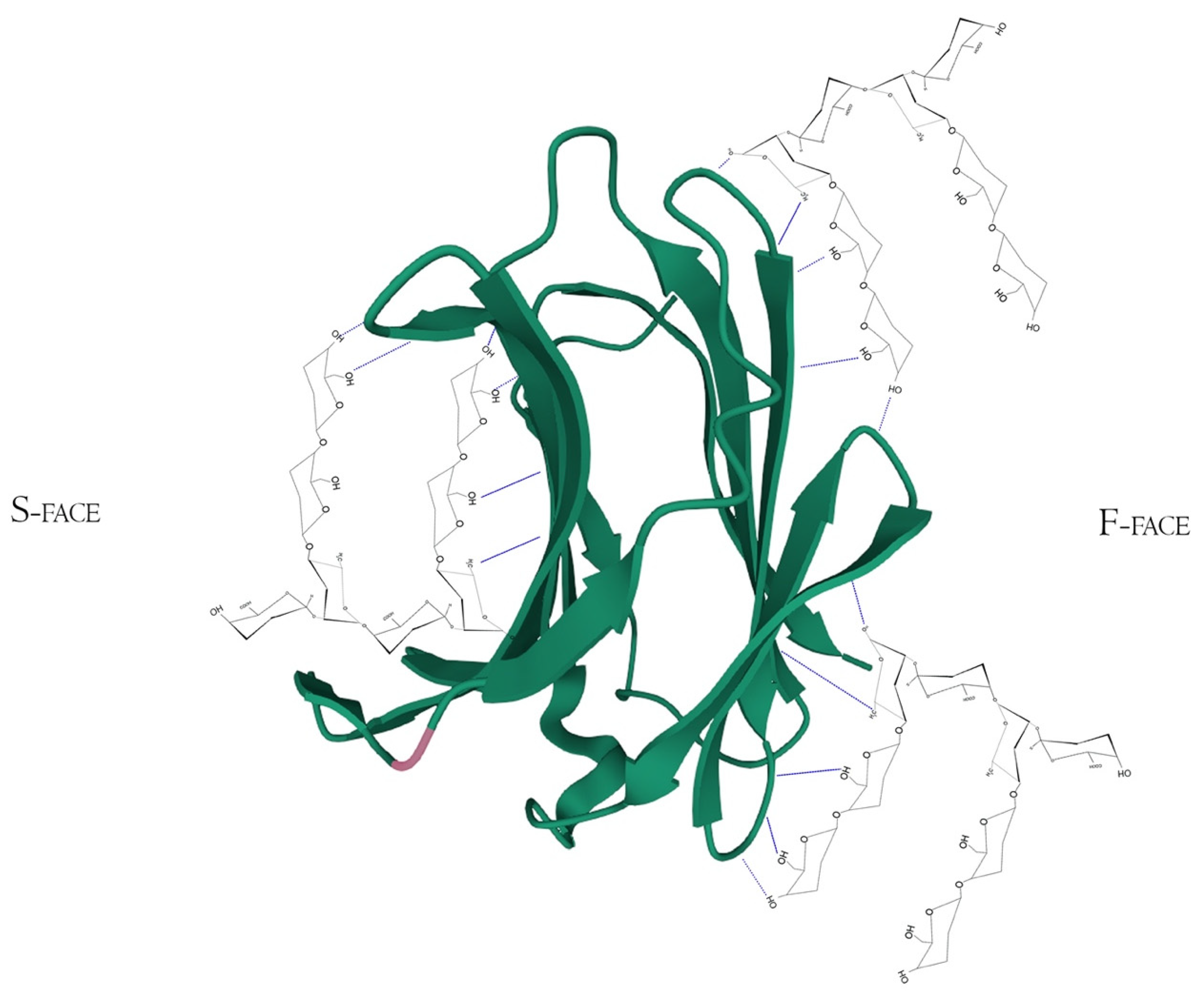 Biomolecules 12 00289 g005 Biomolecules 12 00289 g005