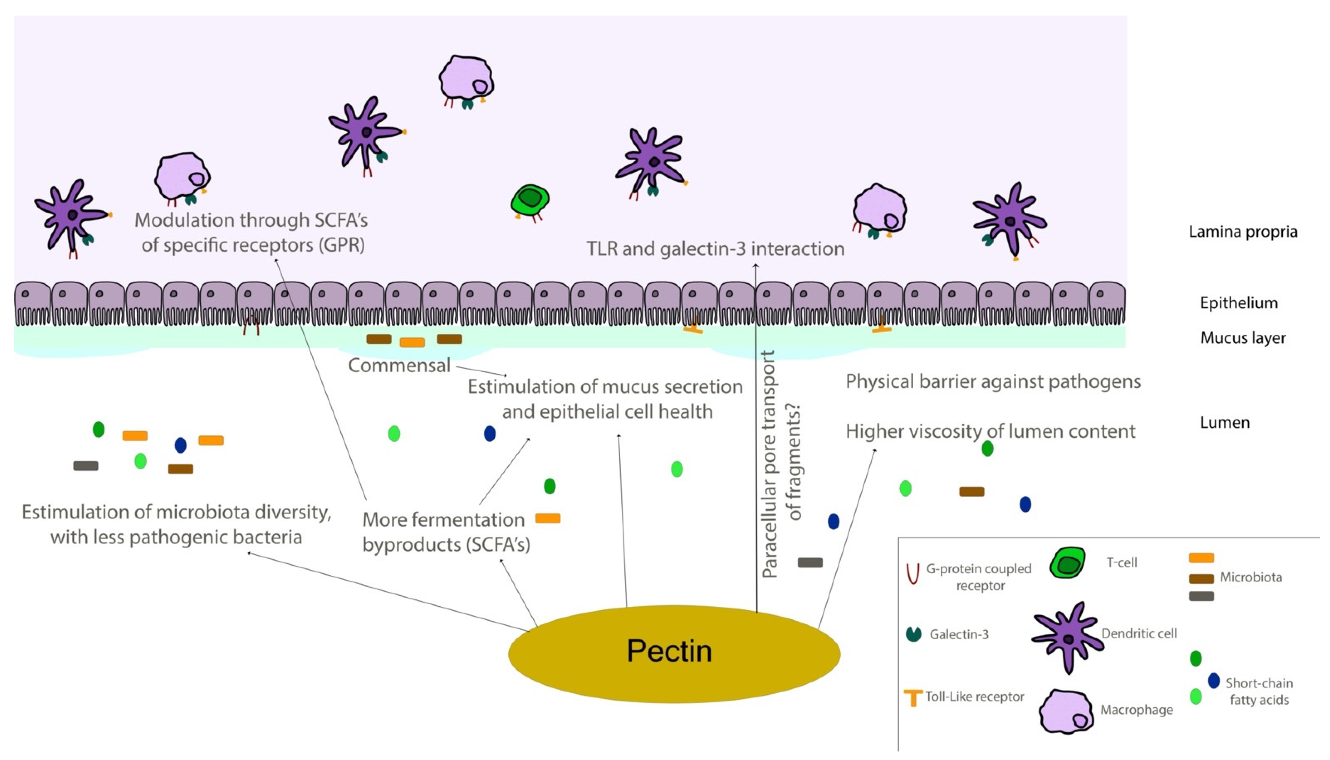 Biomolecules 12 00289 g006 Biomolecules 12 00289 g006