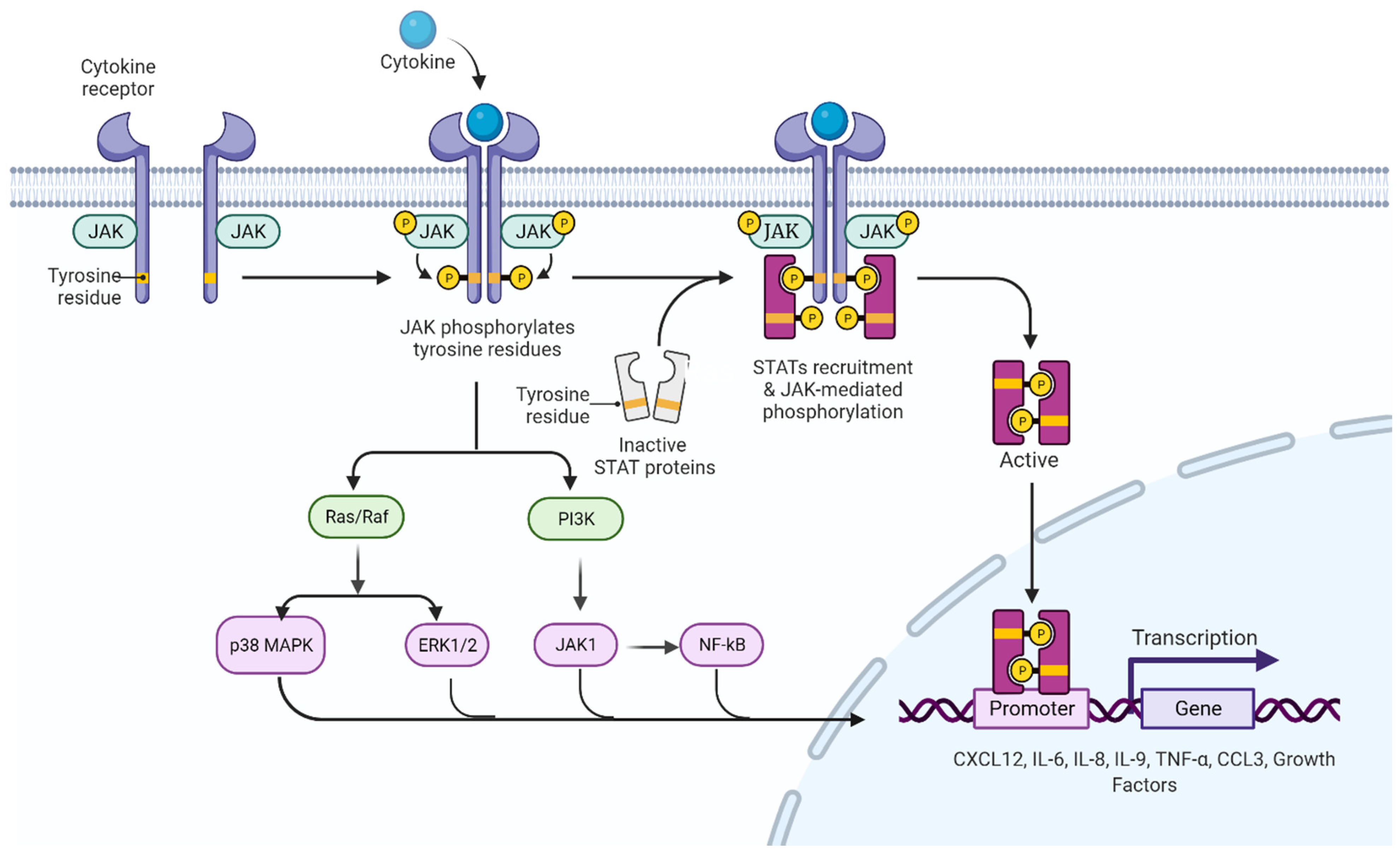 Biomolecules 12 00291 g003 Biomolecules 12 00291 g003