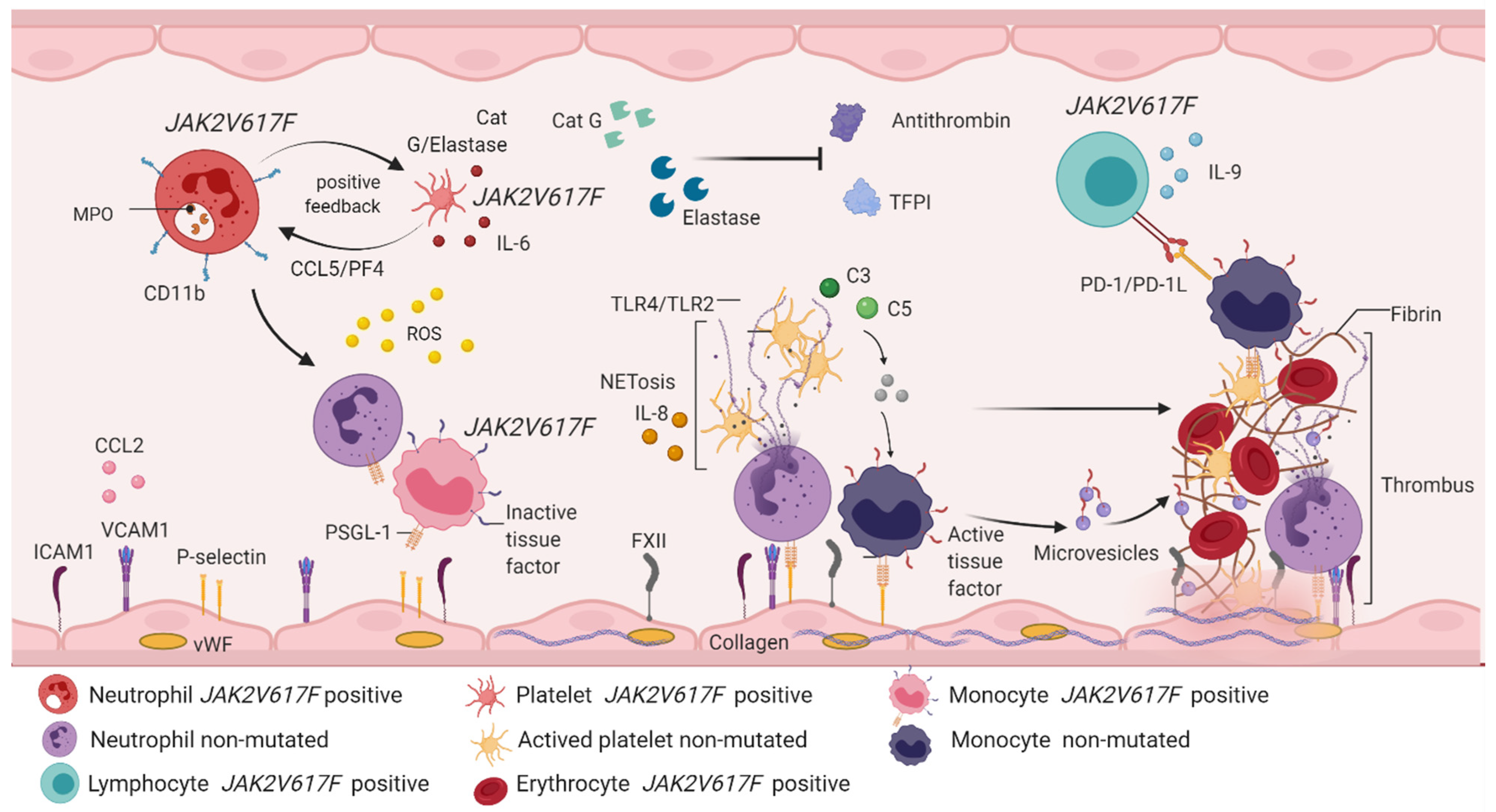 Biomolecules 12 00291 g005 Biomolecules 12 00291 g005