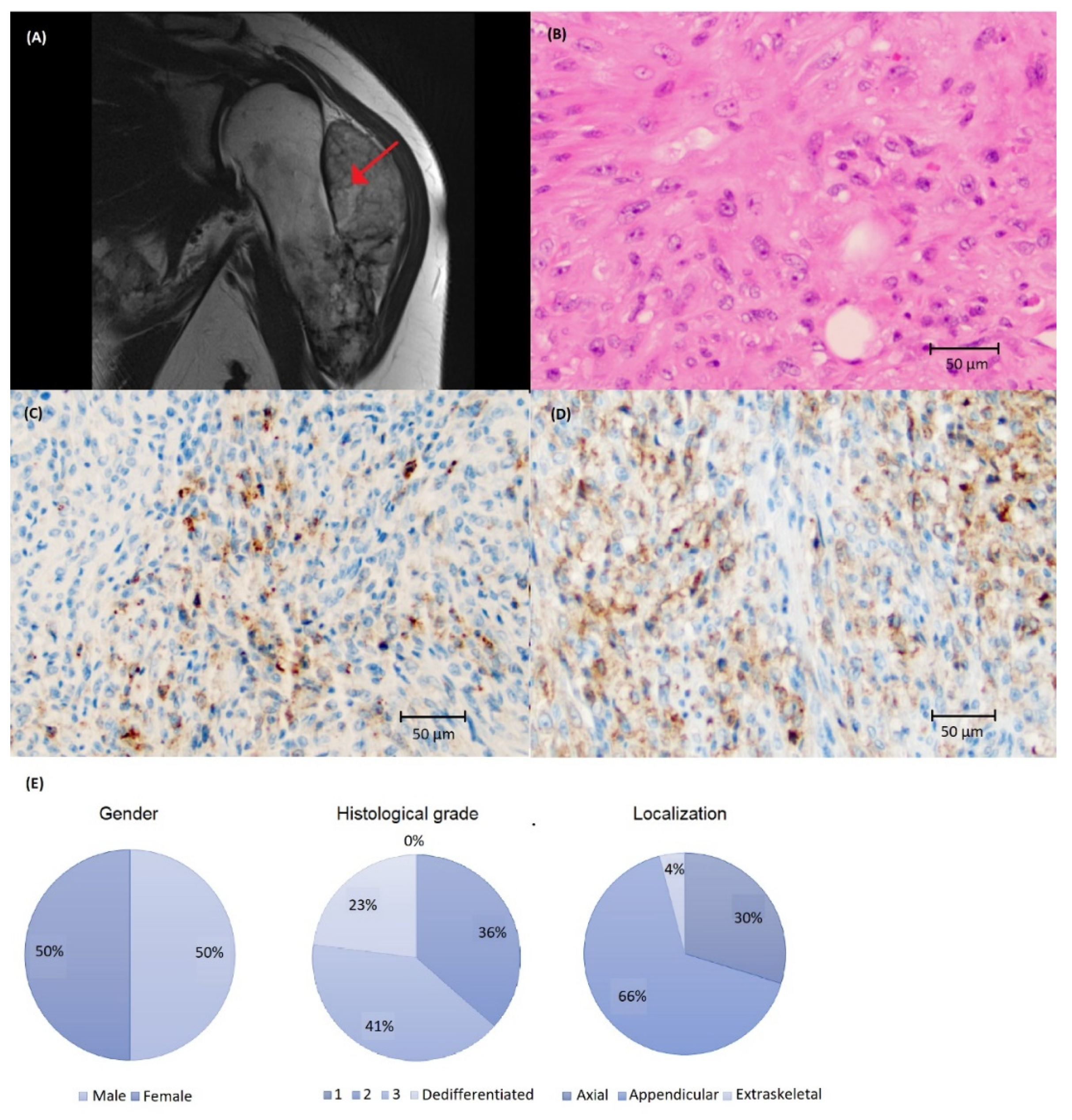 Biomolecules 12 00292 g001 550