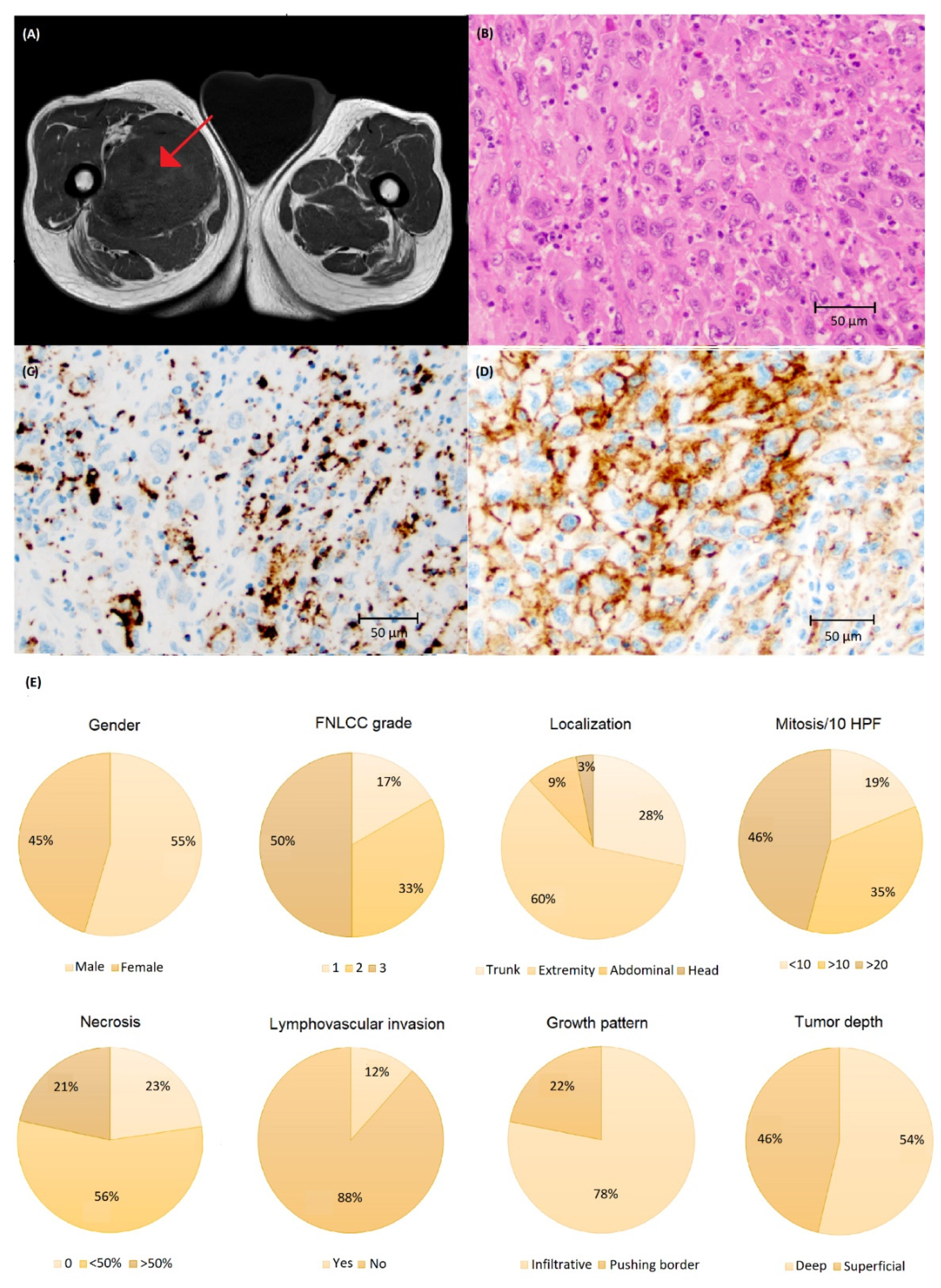 Biomolecules 12 00292 g005 550