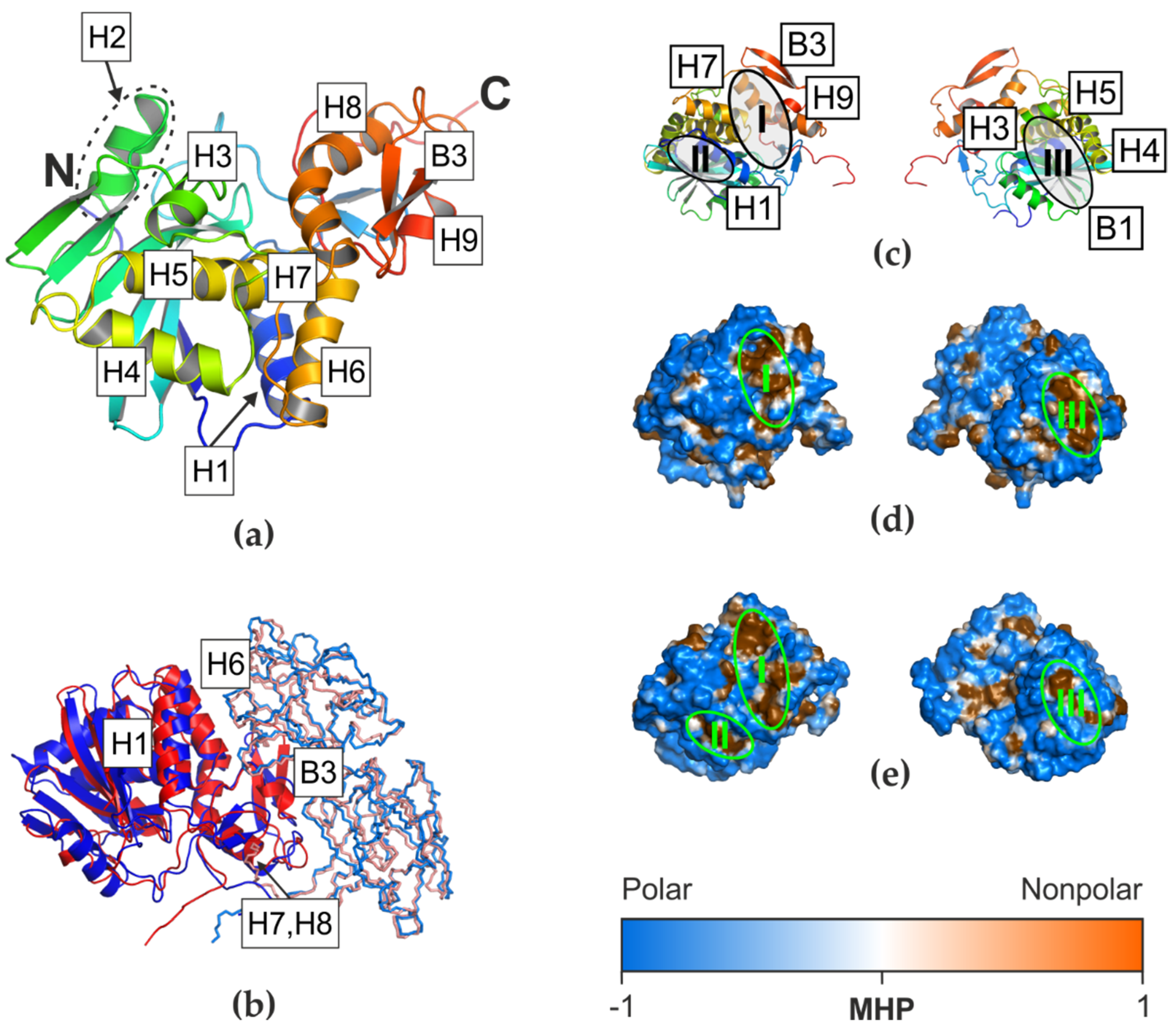 Biomolecules 12 00295 g002 550