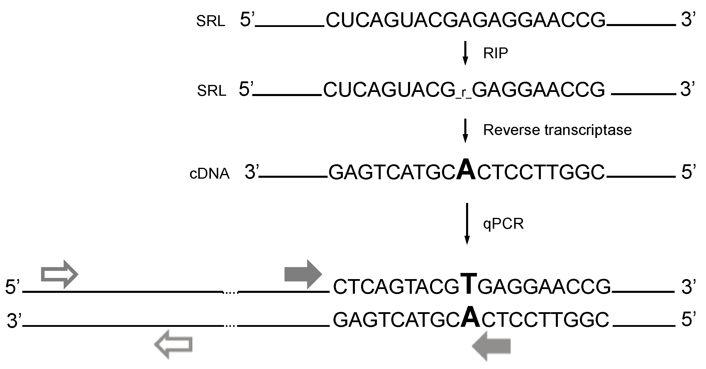 Biomolecules 12 00295 sch001 550