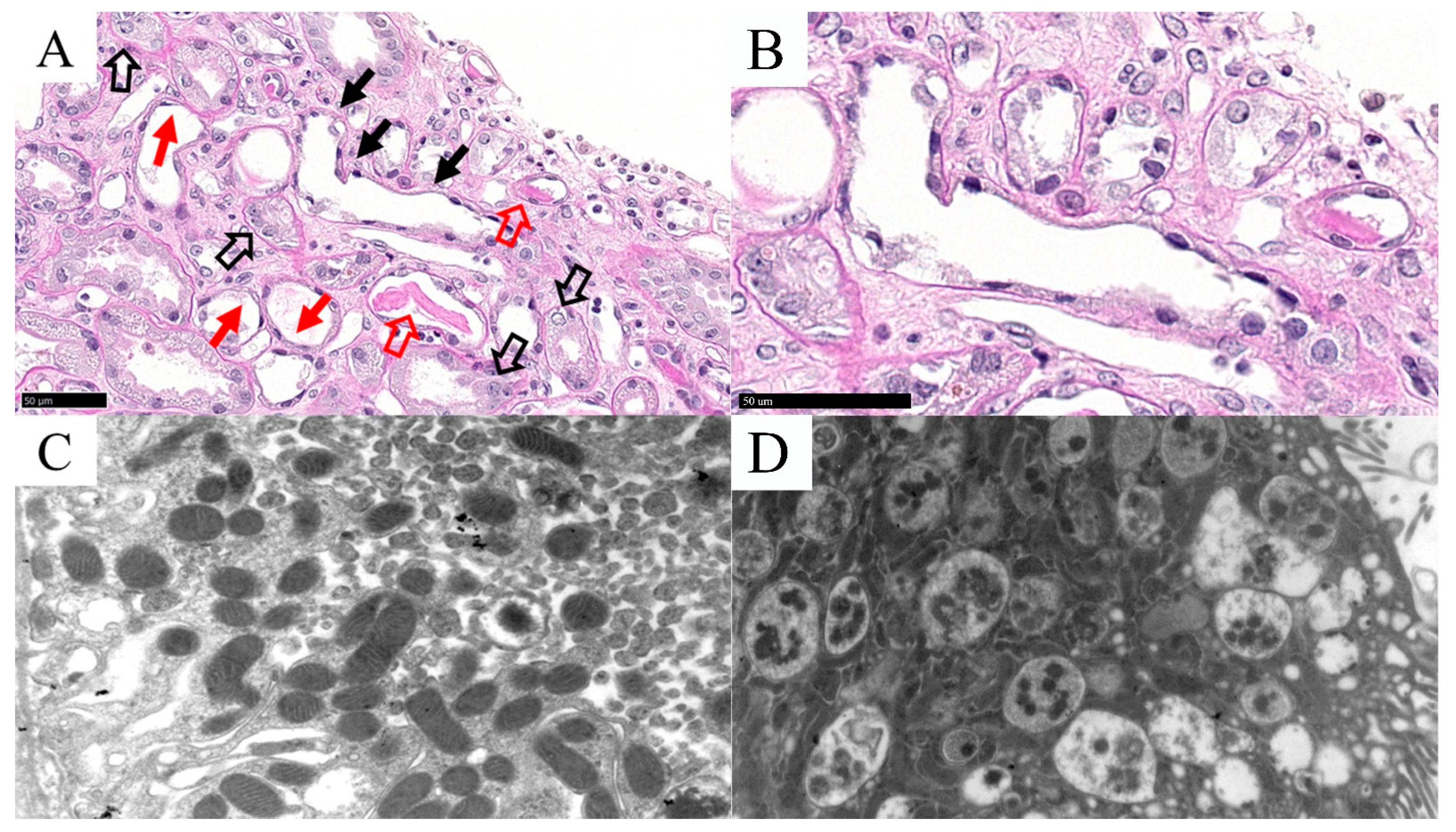 Biomolecules 12 00298 g001 550