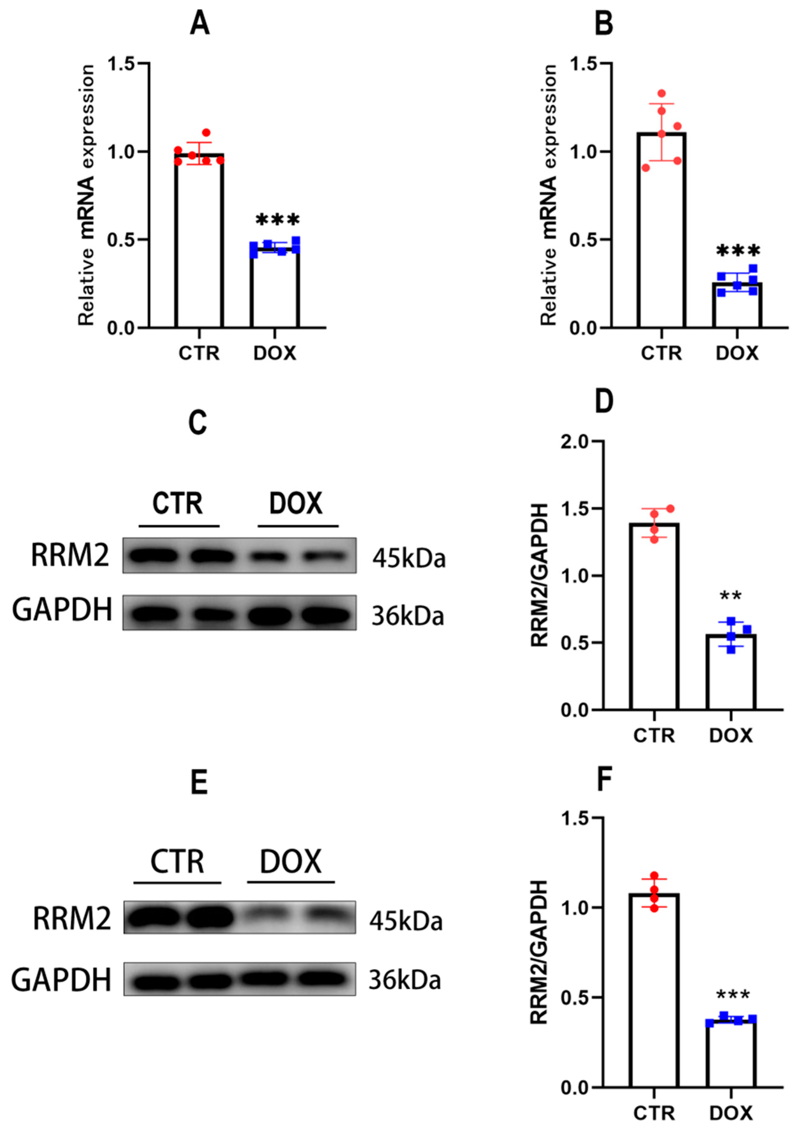 Biomolecules 12 00299 g001