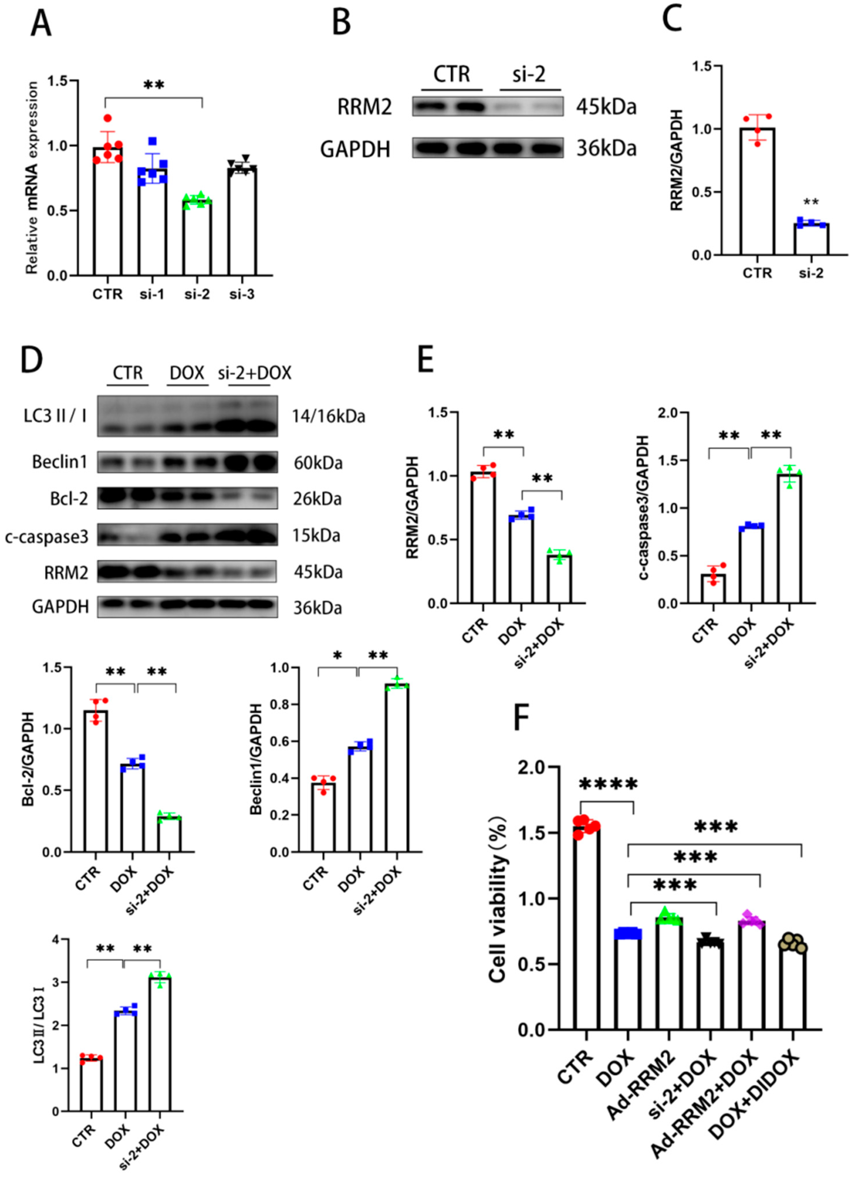 Biomolecules 12 00299 g003