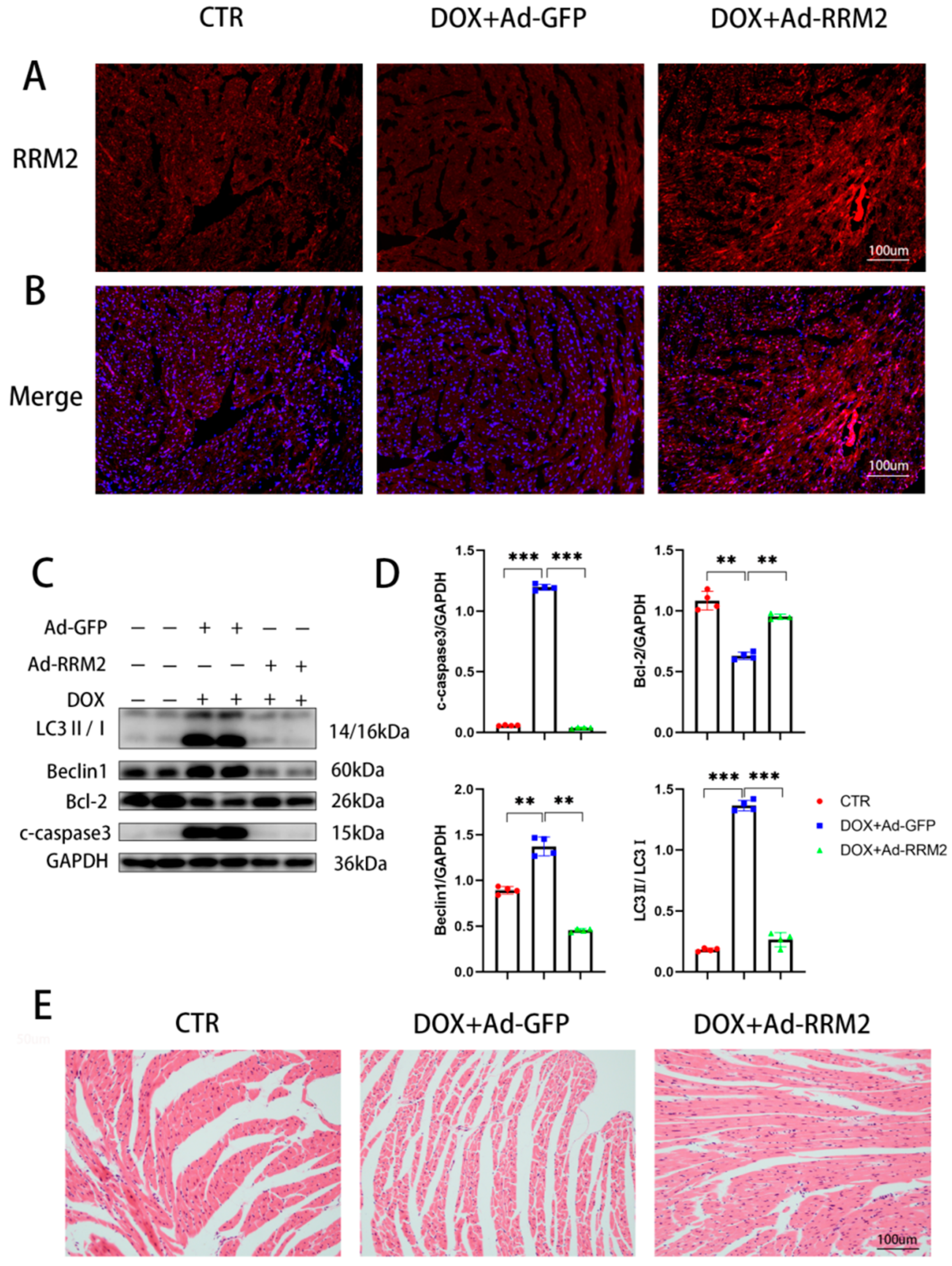 Biomolecules 12 00299 g004