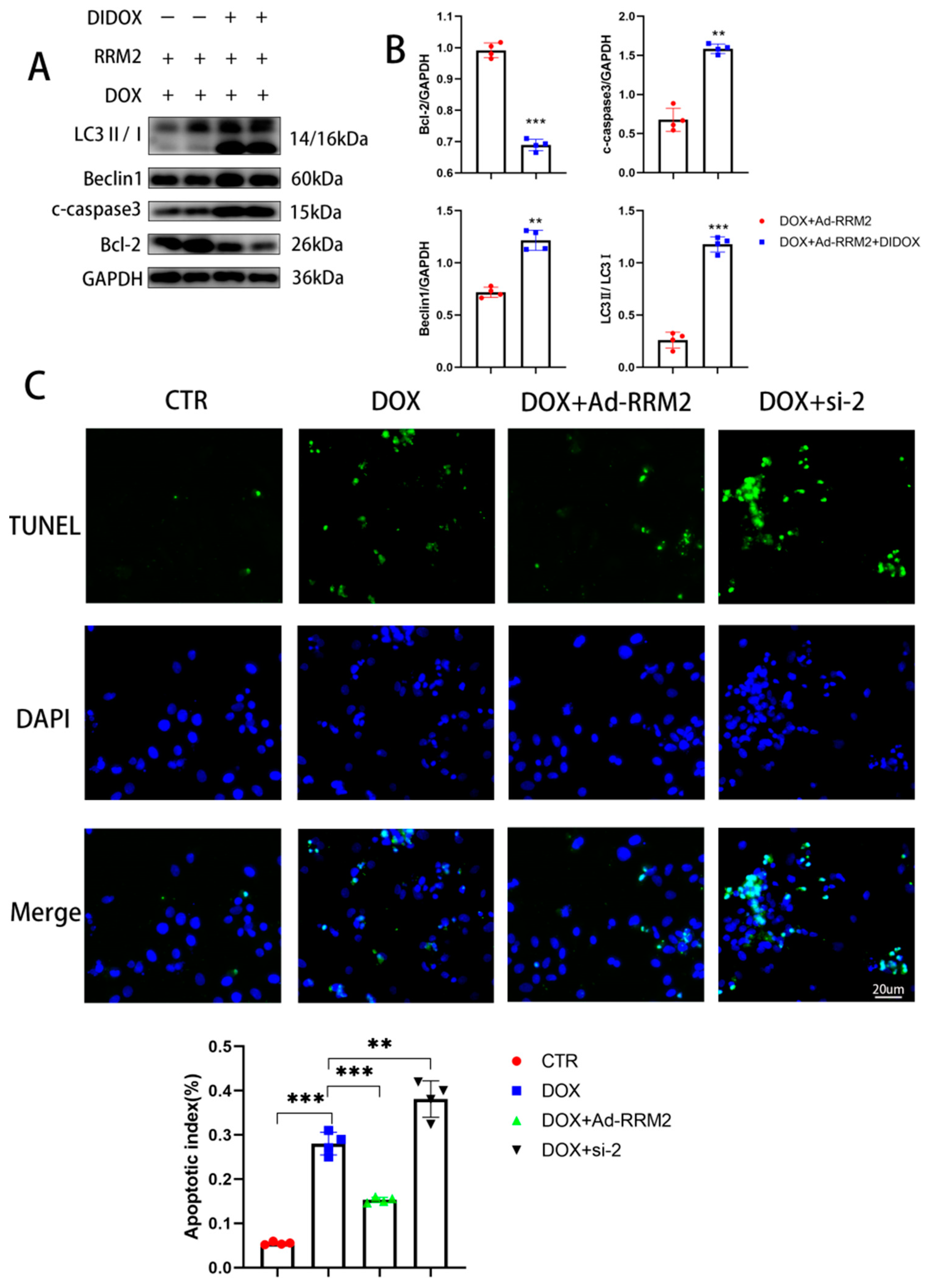 Biomolecules 12 00299 g005