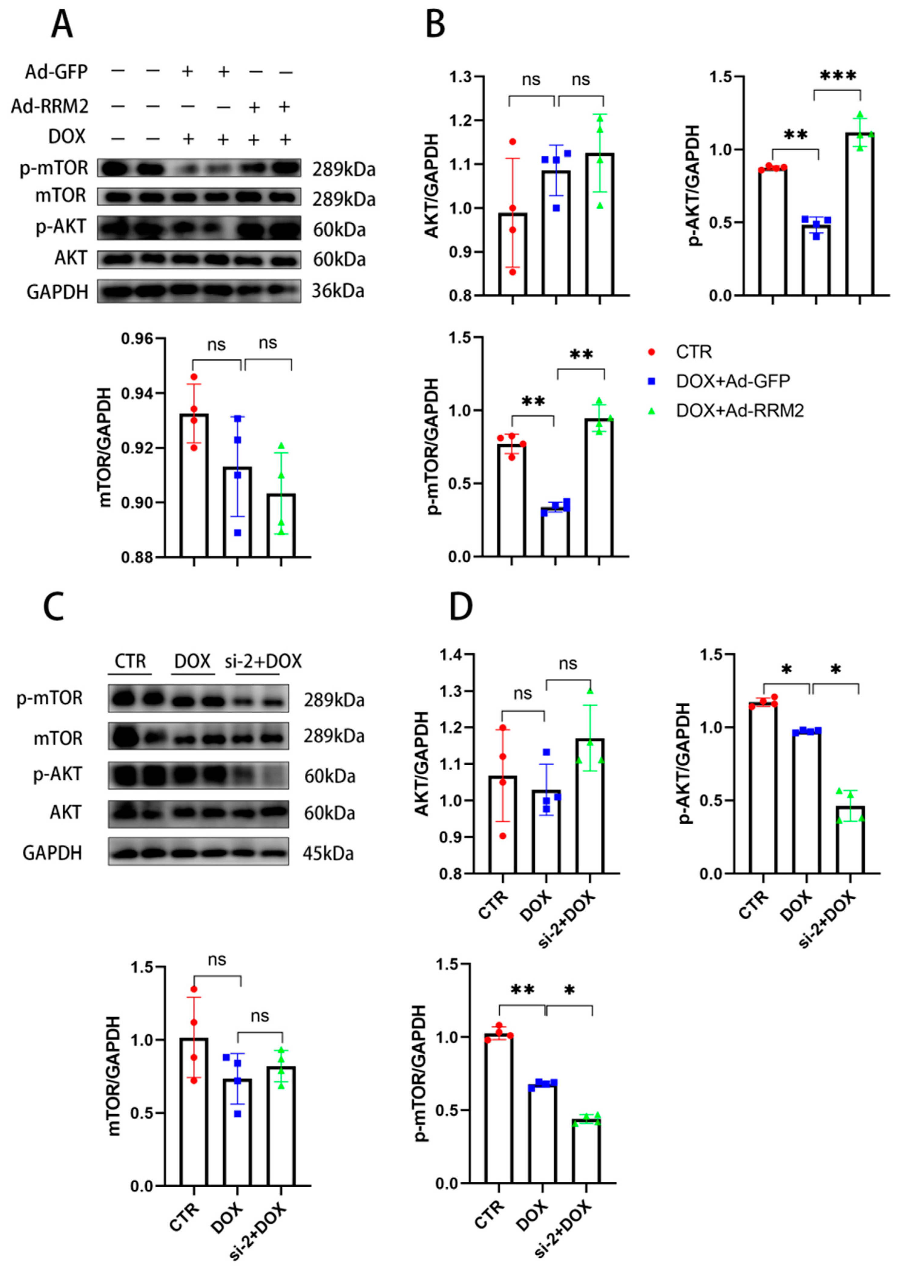 Biomolecules 12 00299 g006