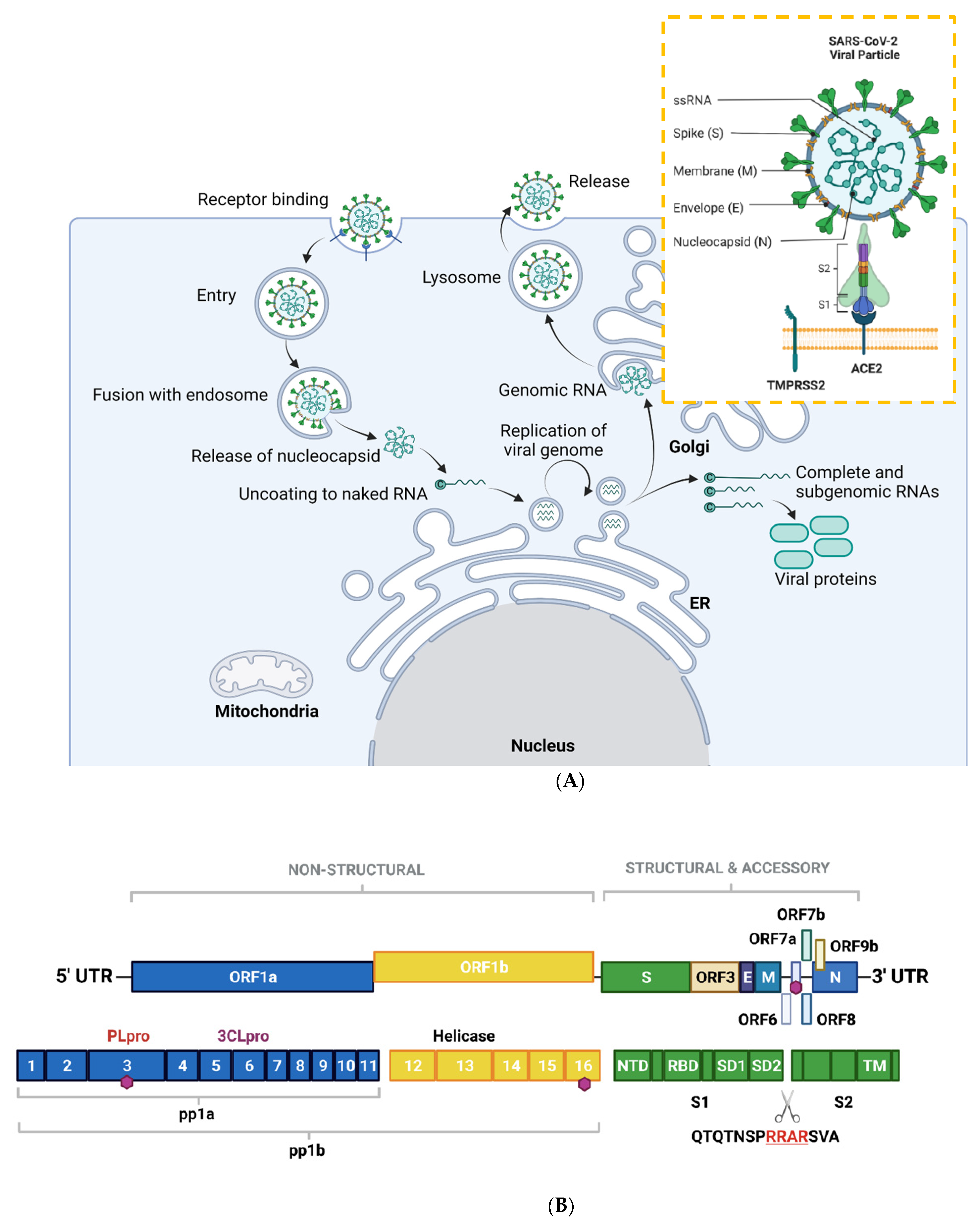 Biomolecules 12 00300 g001