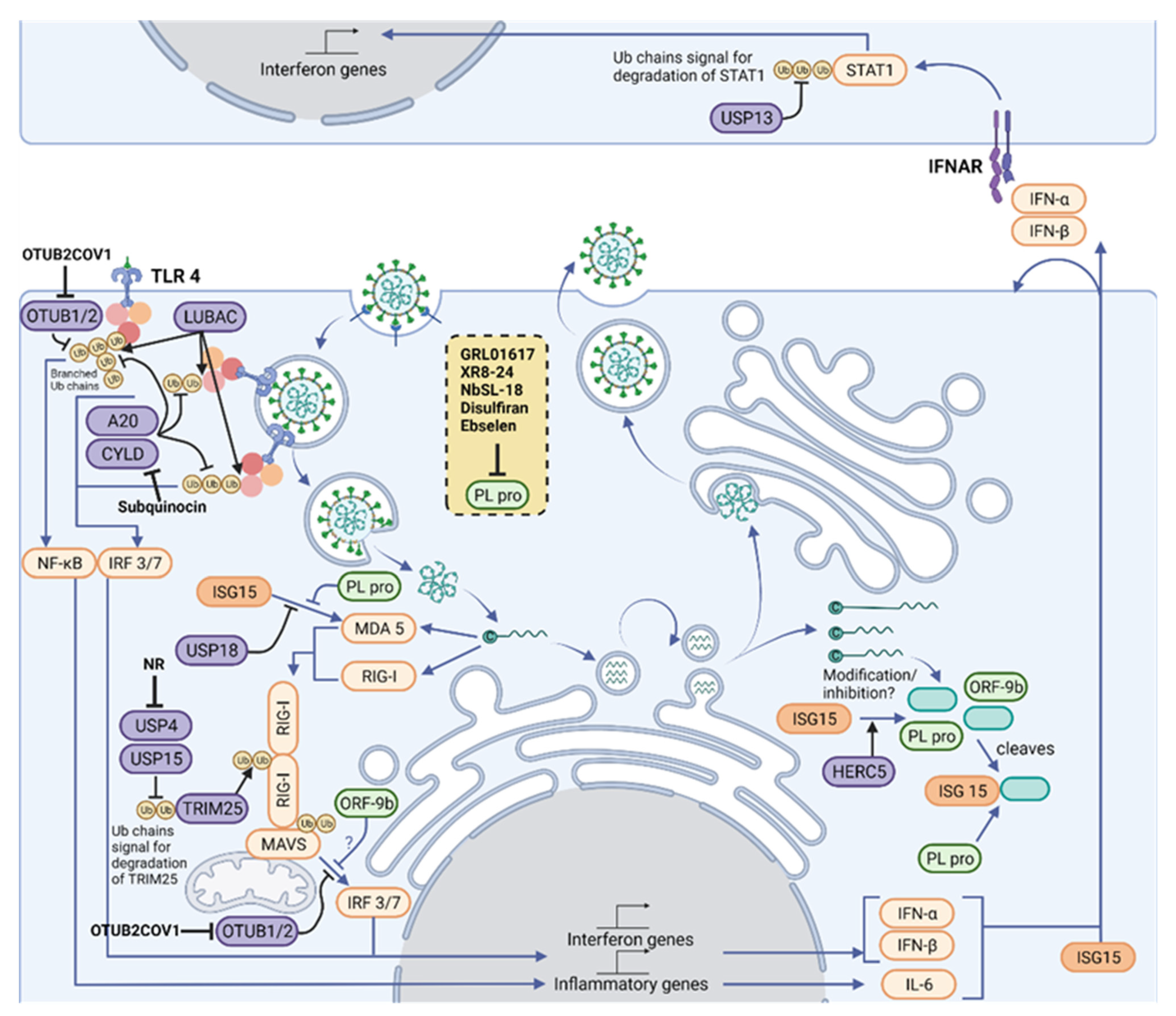 Biomolecules 12 00300 g002