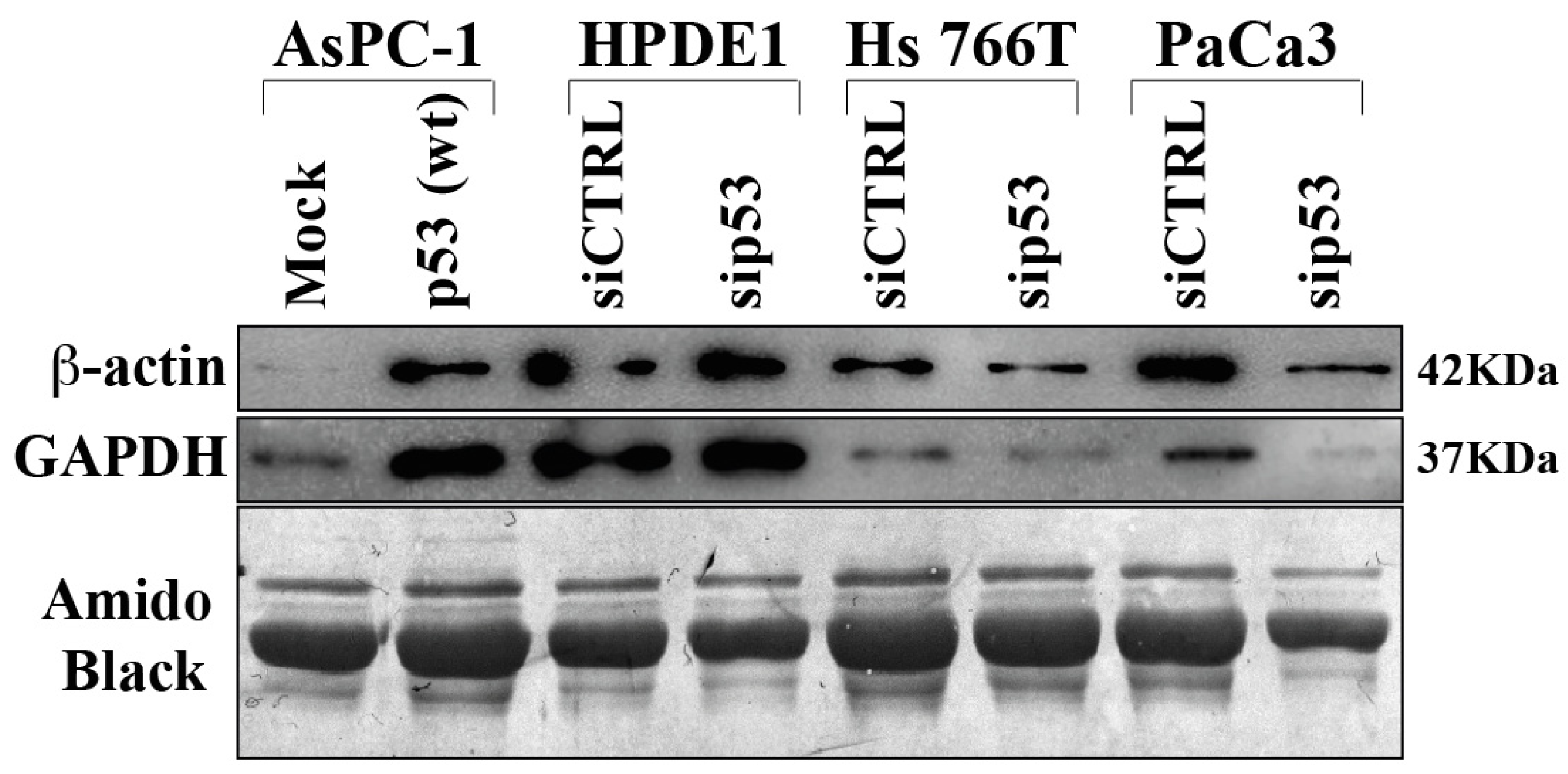 Biomolecules 12 00305 g004