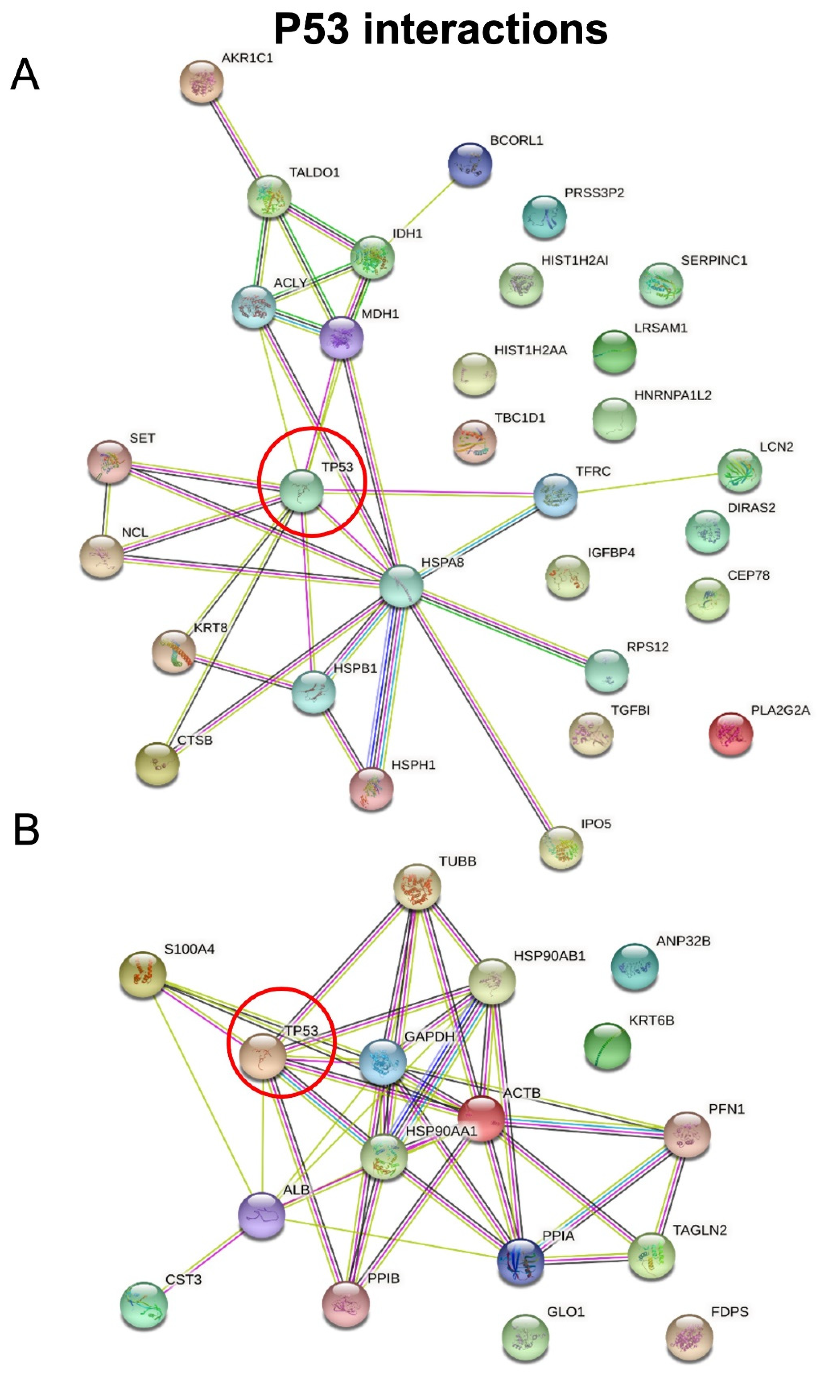 Biomolecules 12 00305 g007