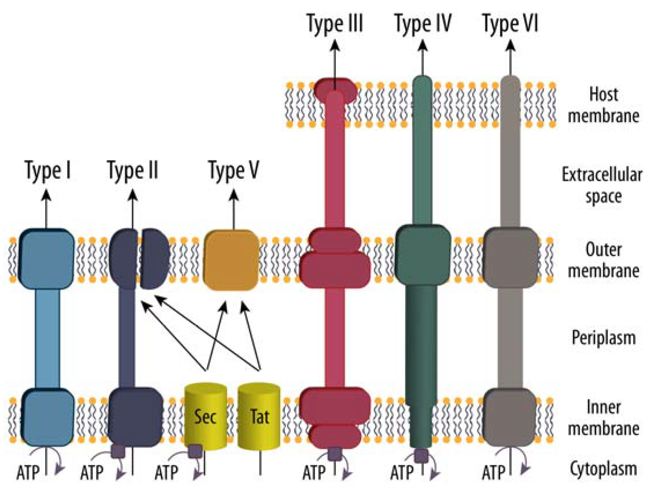 Biomolecules 12 00306 g003 Biomolecules 12 00306 g003