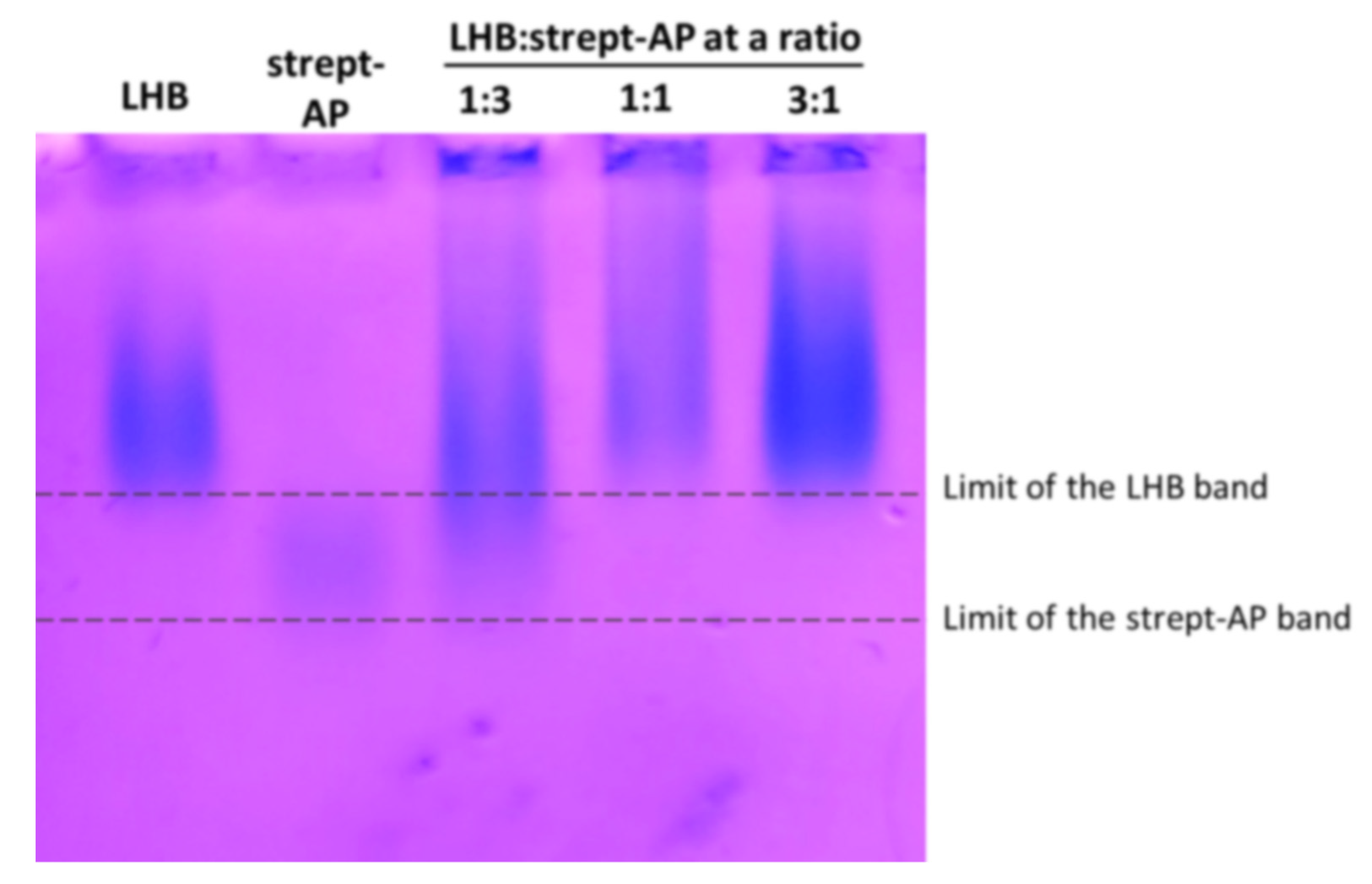 Biomolecules 12 00308 g005 550