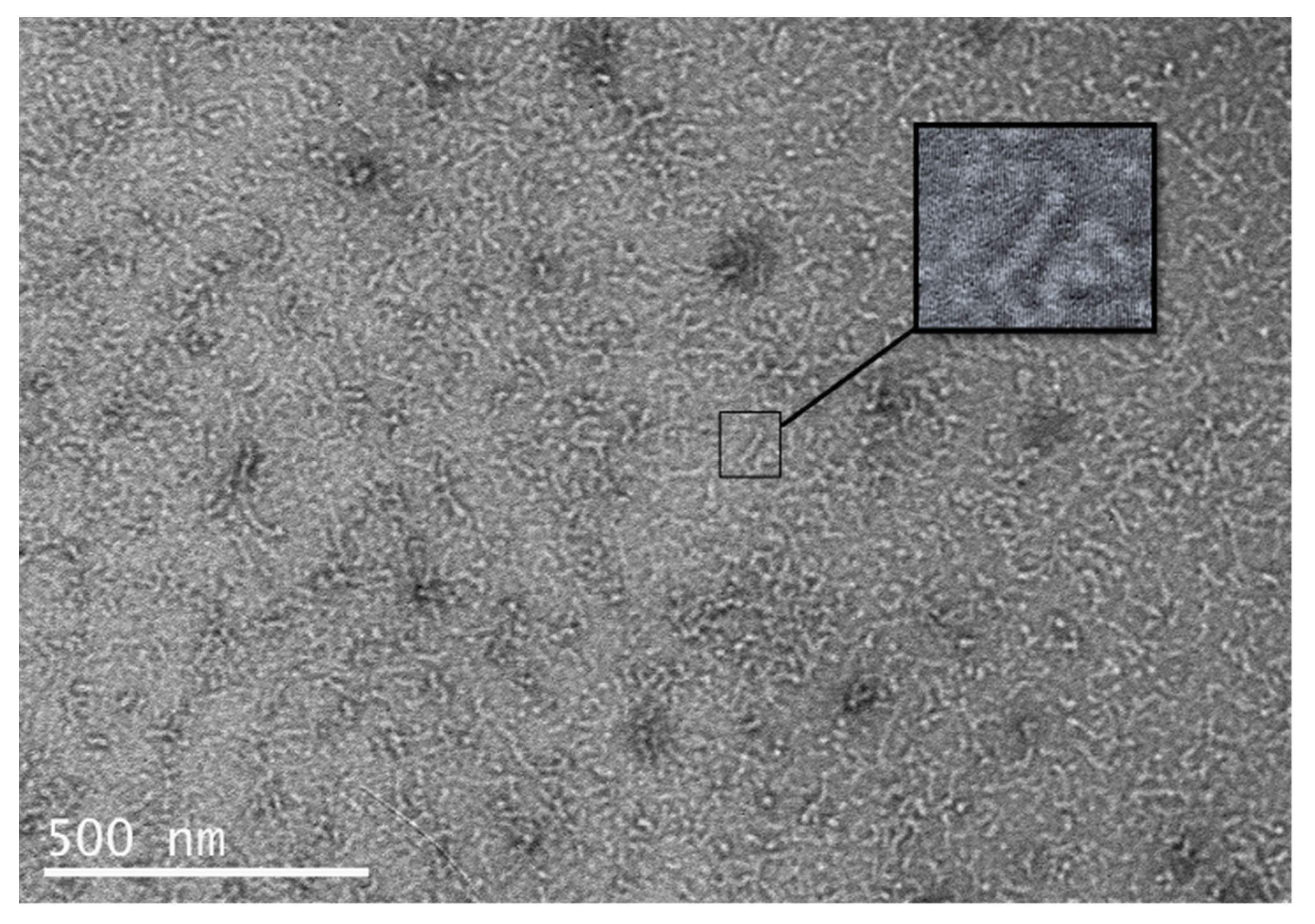 Biomolecules 12 00308 g006 550