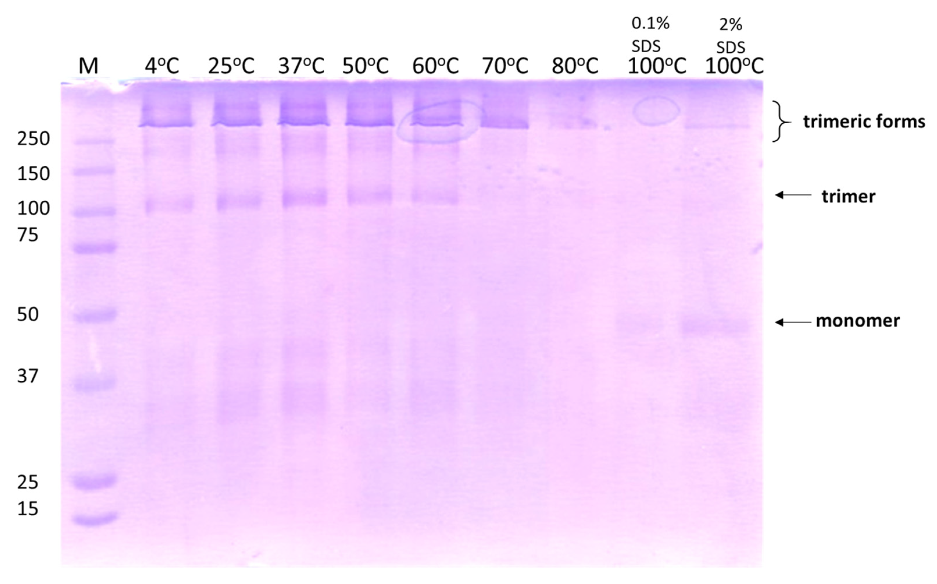 Biomolecules 12 00308 g007 550
