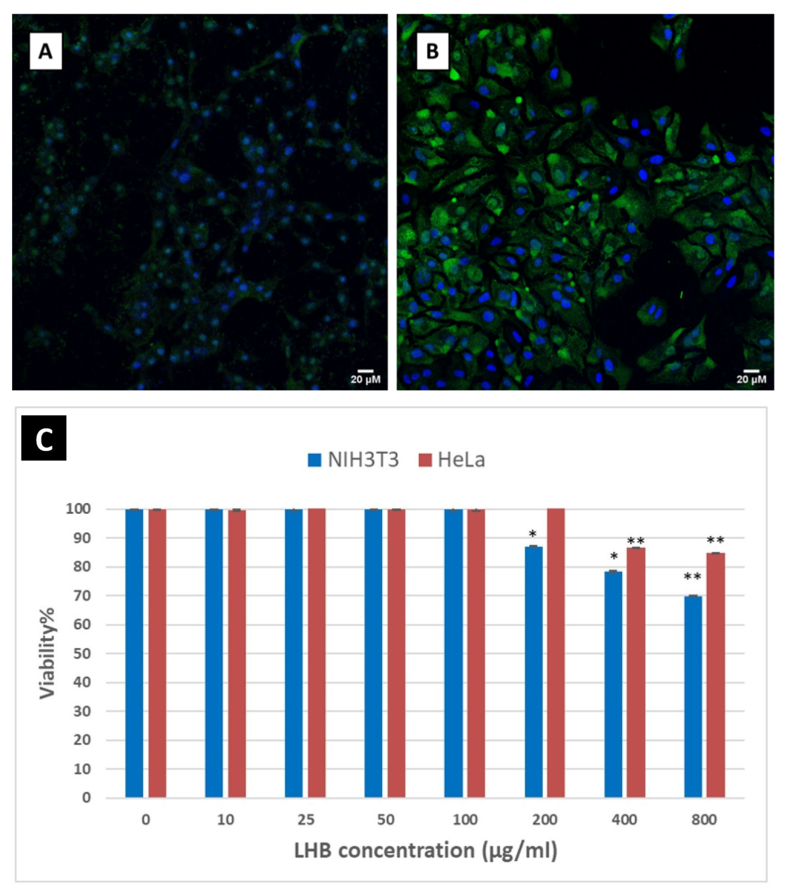 Biomolecules 12 00308 g008 550