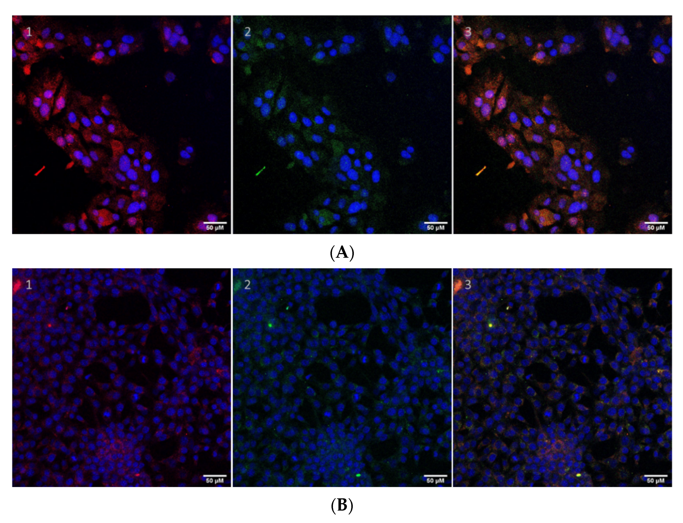 Biomolecules 12 00308 g009 550
