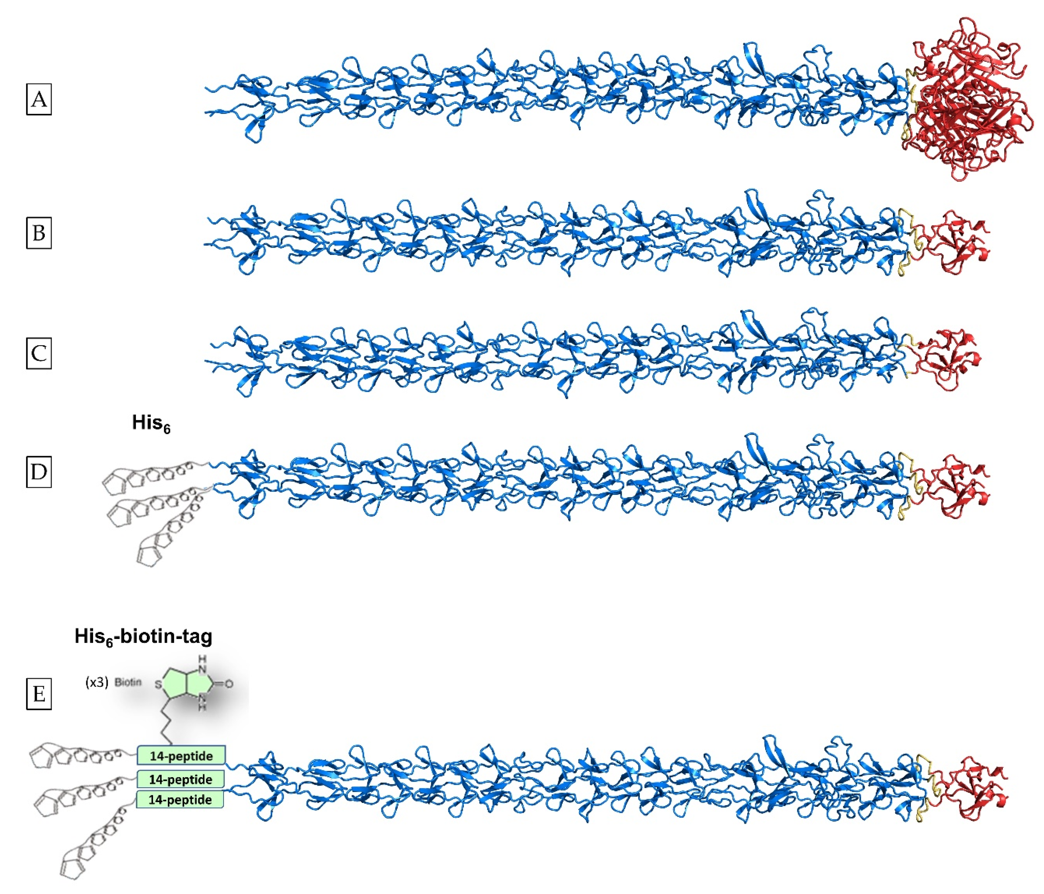 Biomolecules 12 00308 sch001 550